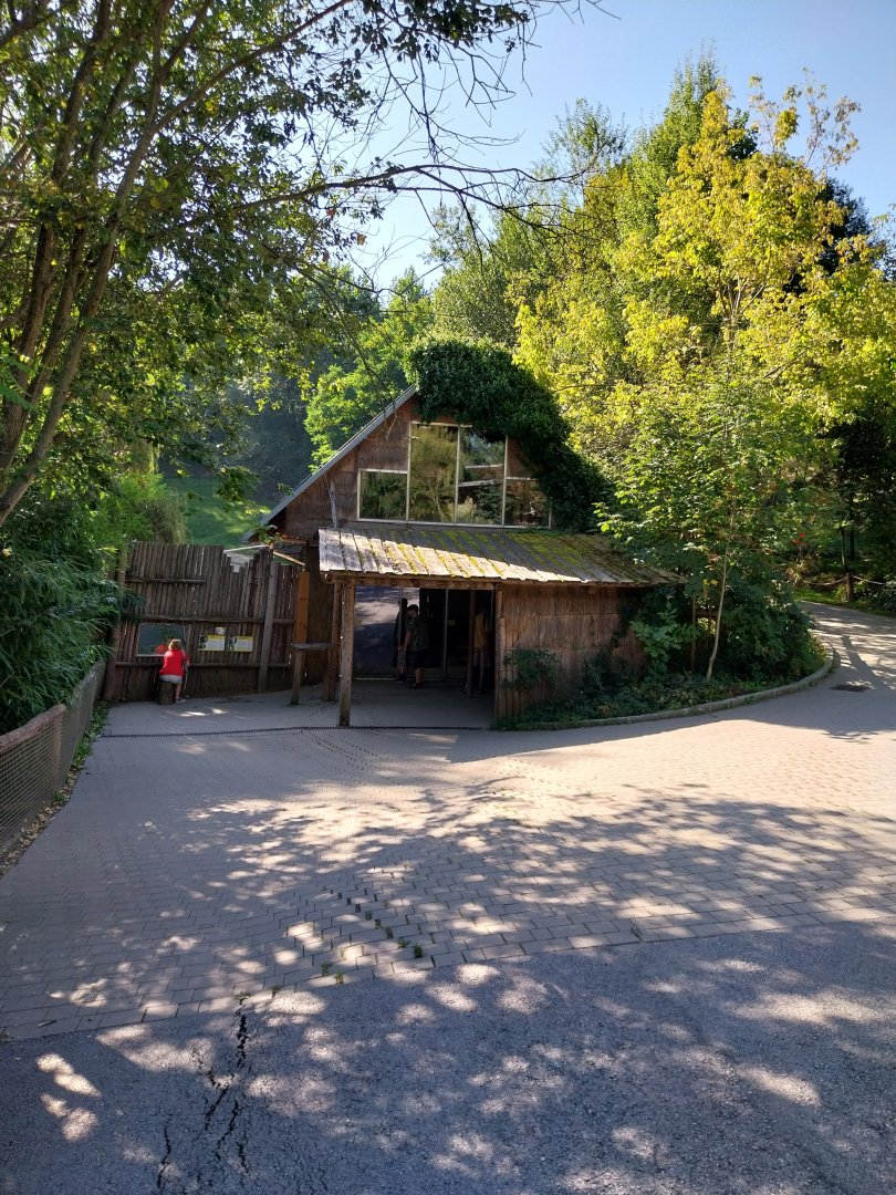 Monkeyhouse (mandrill and grivet guenon)