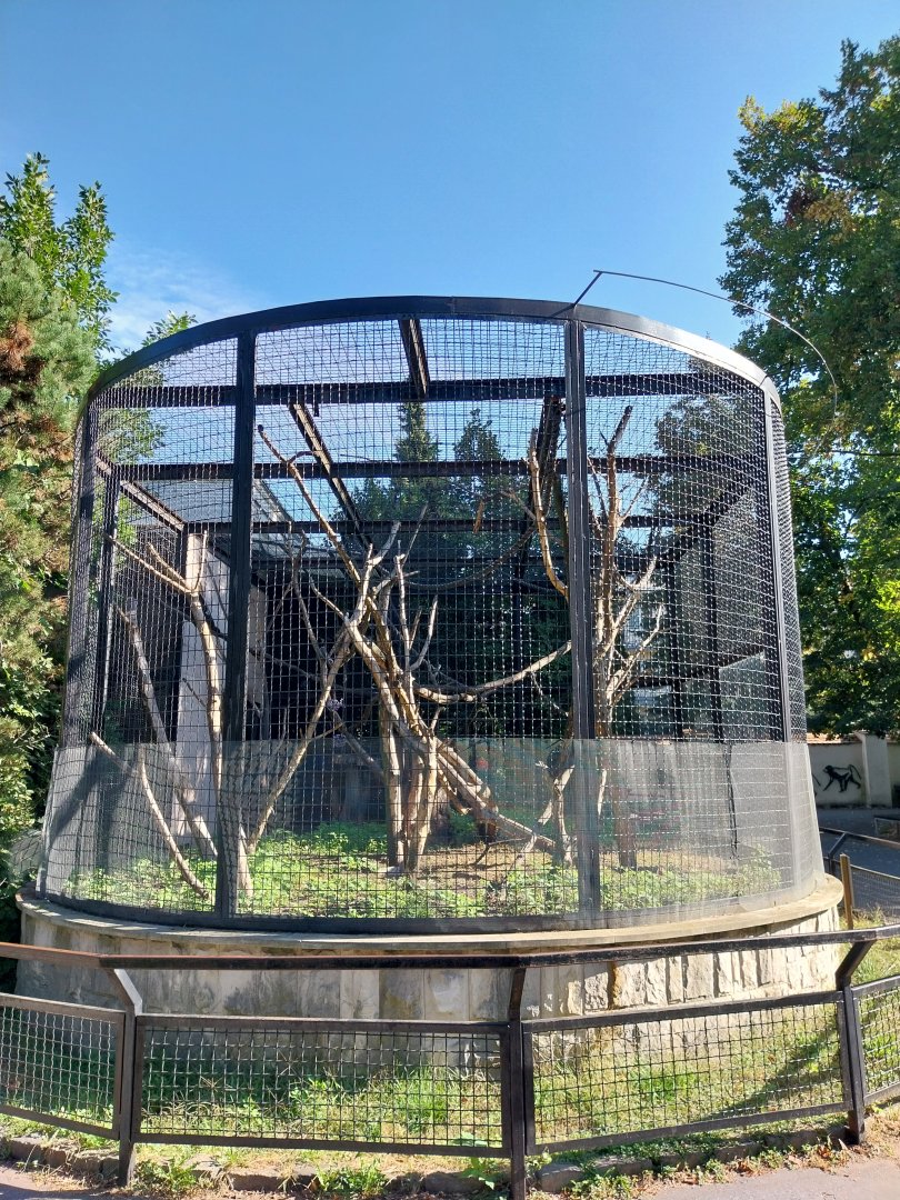 Monkeyhouse - Yellow-cheeked Crested Gibbon