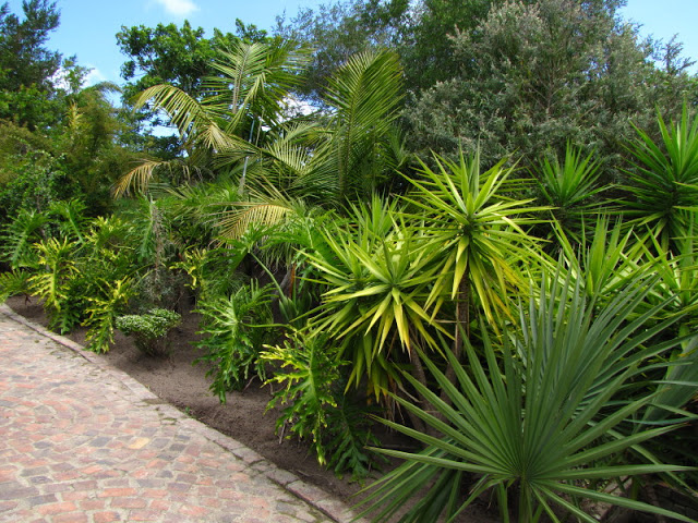 Monkeyland and Birds of Eden 17.11.2011