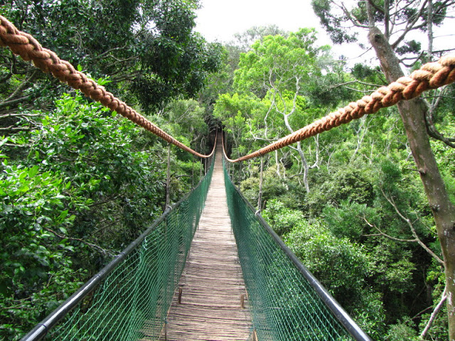 Monkeyland and Birds of Eden 17.11.2011