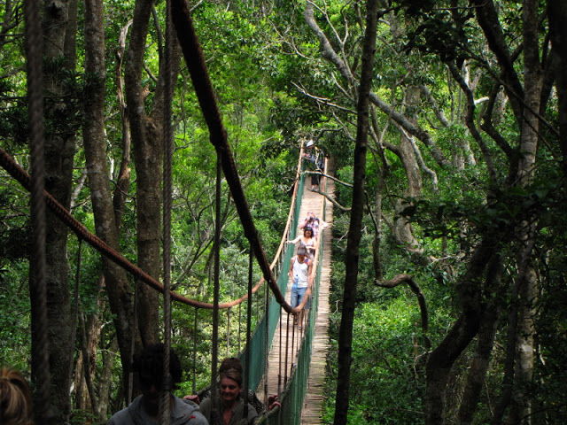 Monkeyland and Birds of Eden 17.11.2011