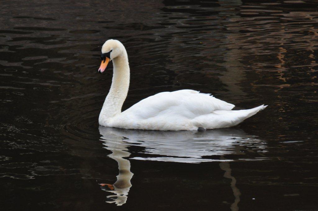 Monkeyland and Birds of Eden, Plettenberg Bay