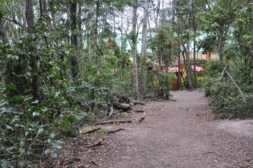 Monkeyland and Birds of Eden, Plettenberg Bay