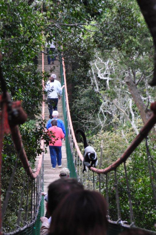 Monkeyland and Birds of Eden, Plettenberg Bay