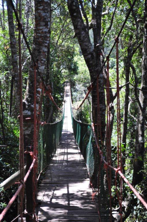 Monkeyland and Birds of Eden, Plettenberg Bay