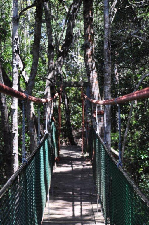 Monkeyland and Birds of Eden, Plettenberg Bay