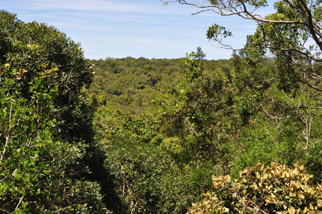 Monkeyland and Birds of Eden, Plettenberg Bay
