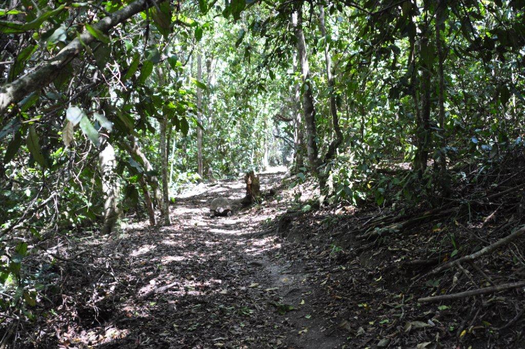 Monkeyland and Birds of Eden, Plettenberg Bay