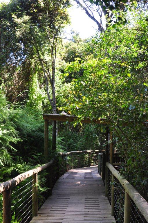 Monkeyland and Birds of Eden, Plettenberg Bay