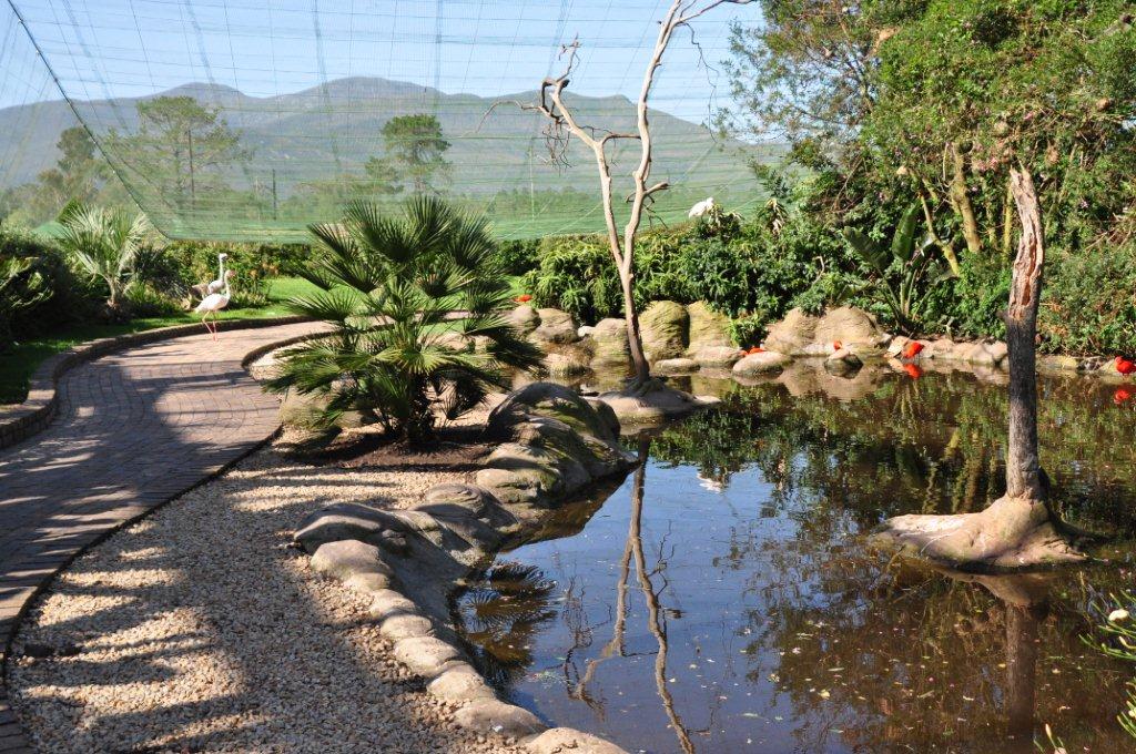 Monkeyland and Birds of Eden, Plettenberg Bay