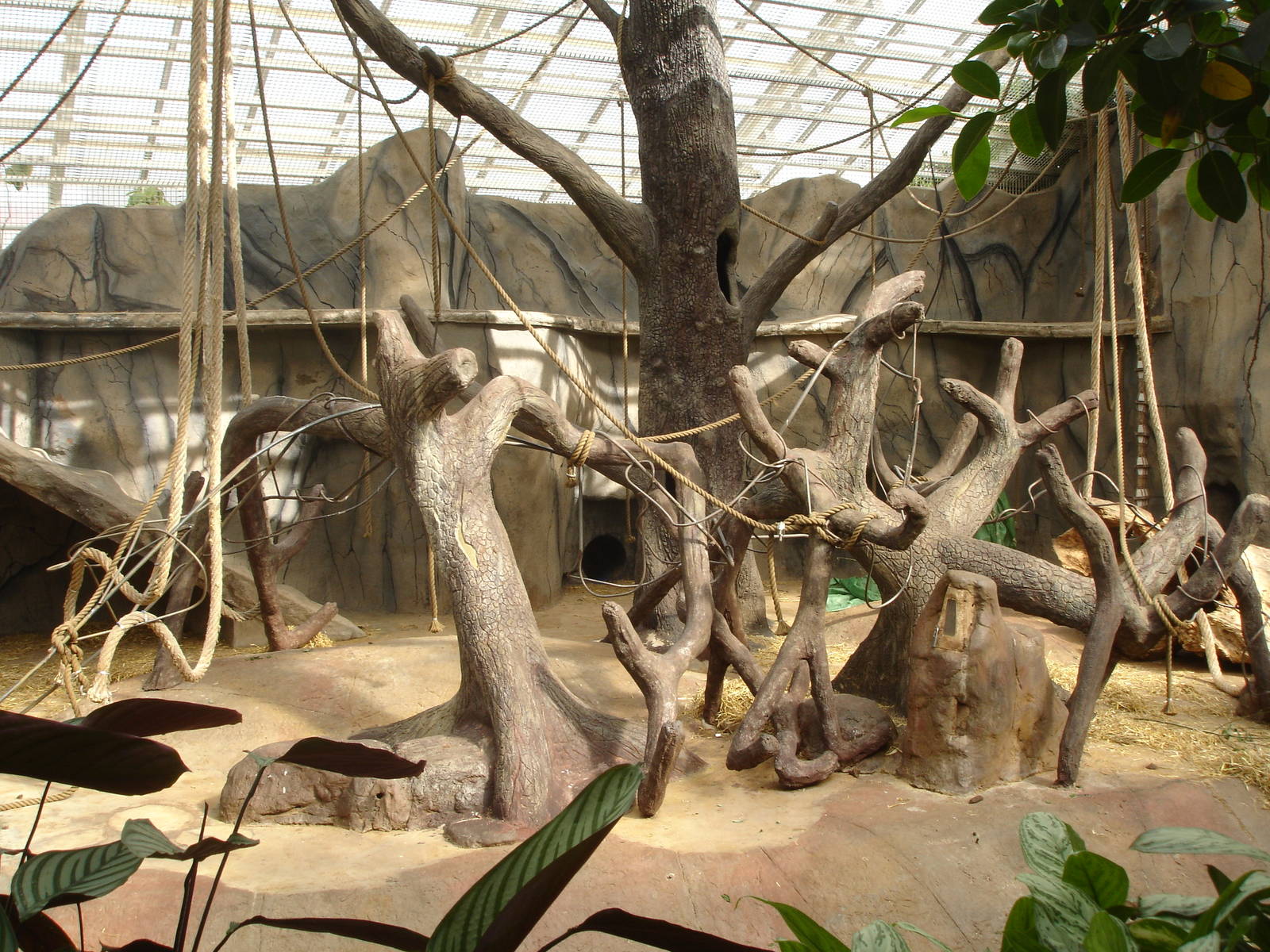 Monkeyless exhibit