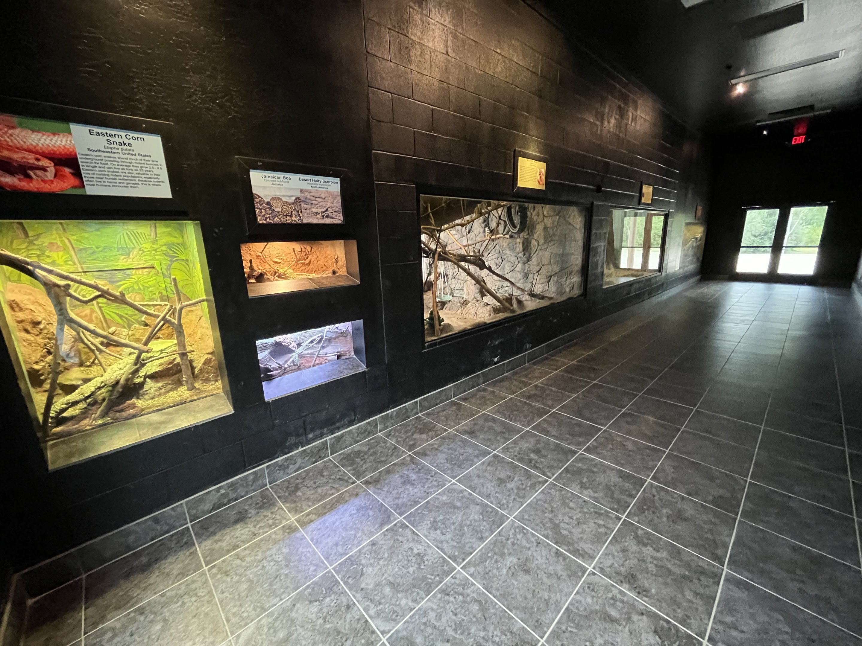 Monkeys and More - 6 exhibits