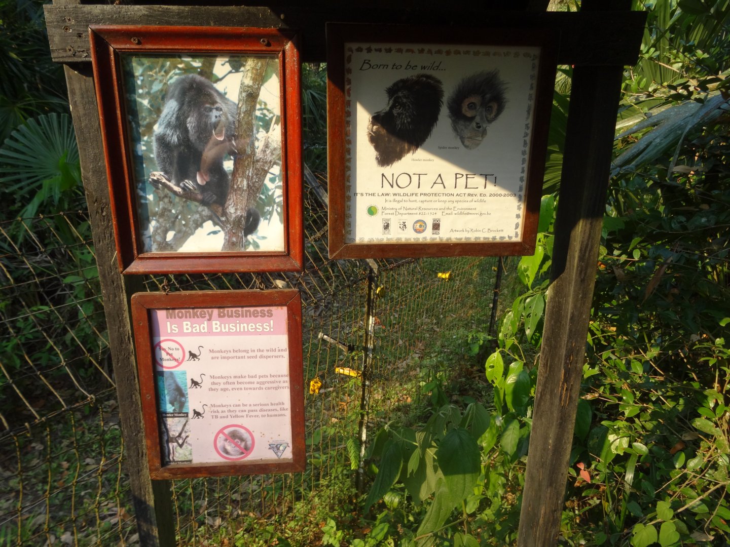 Monkeys Are Not Pets Signage