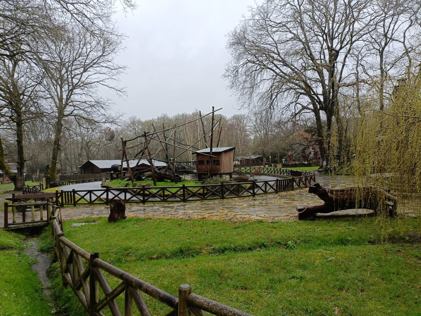 Monkeys islands -Marcelle Naturaleza