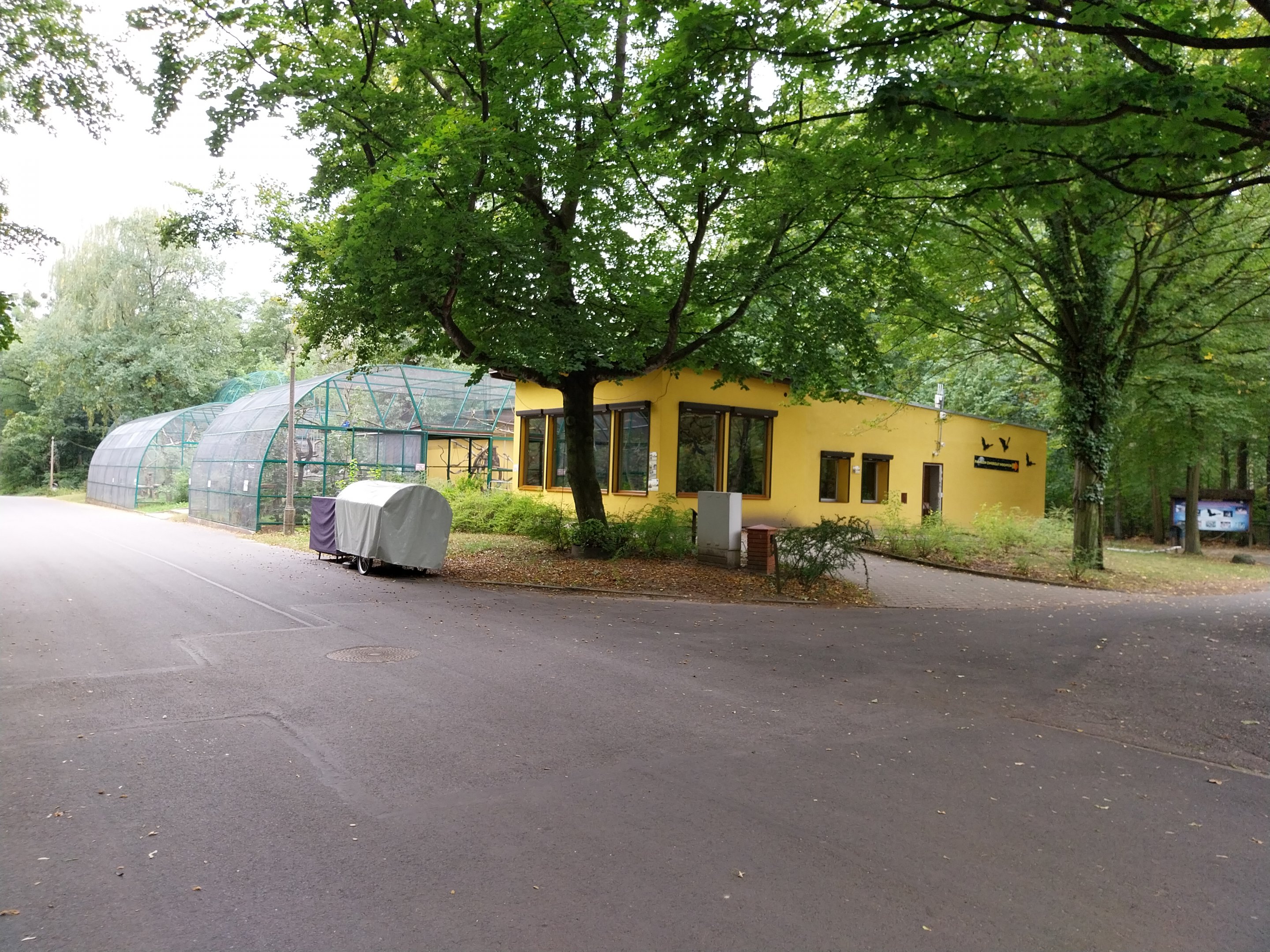 Monkeys & nocturnal animals