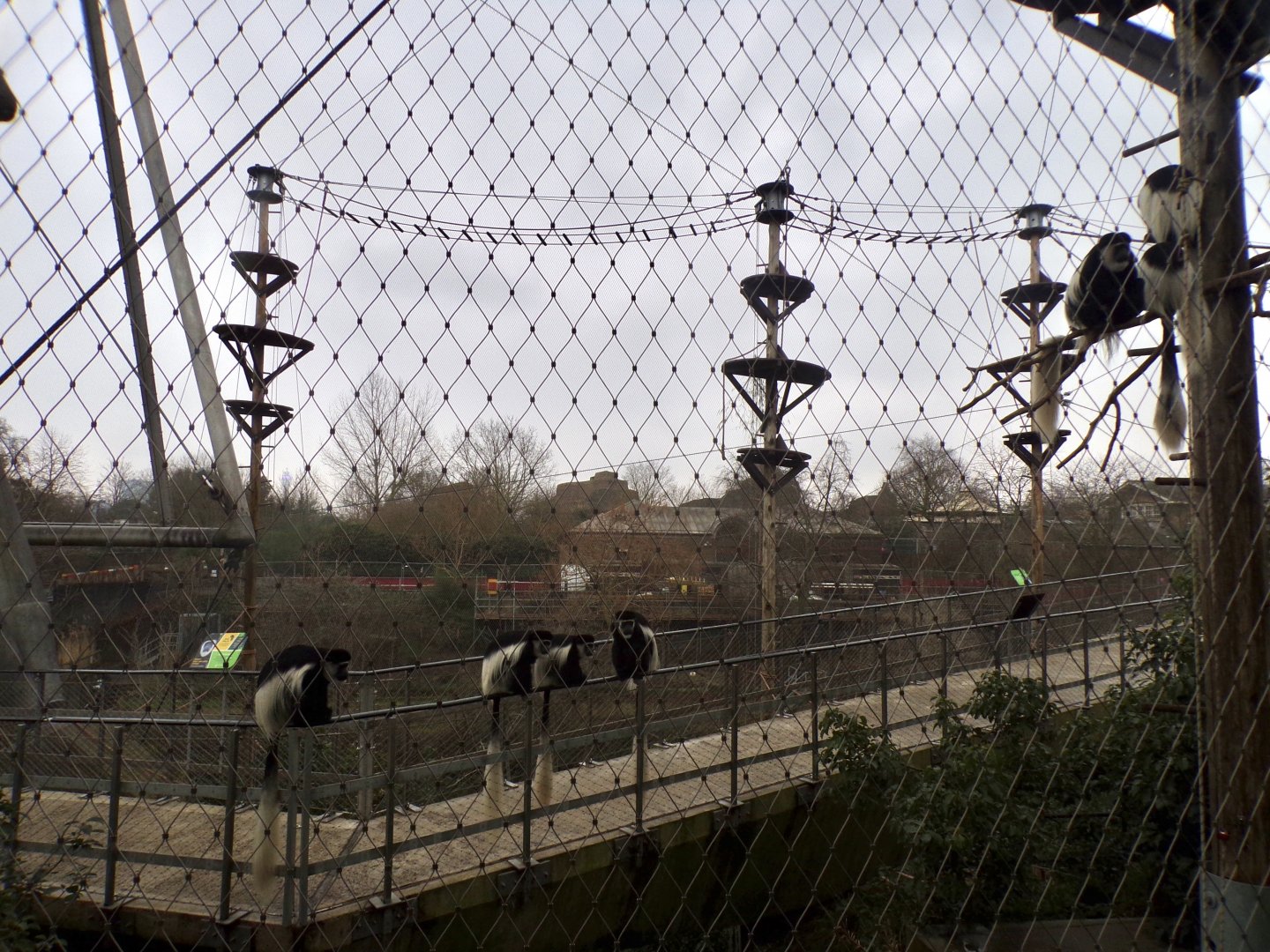 Monley valley 11.2.25