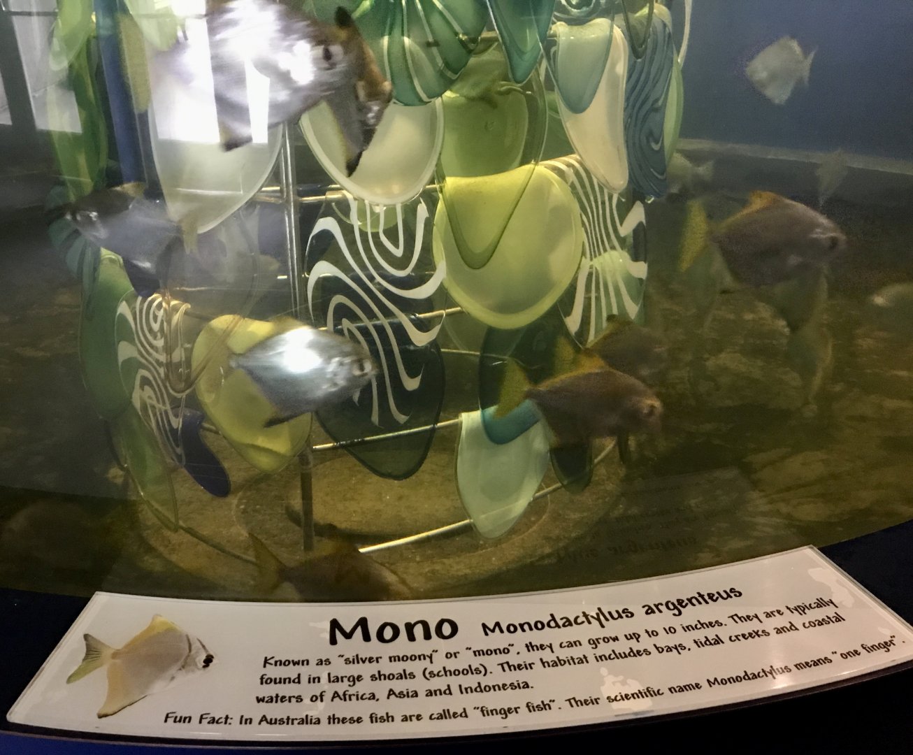 Mono Exhibit