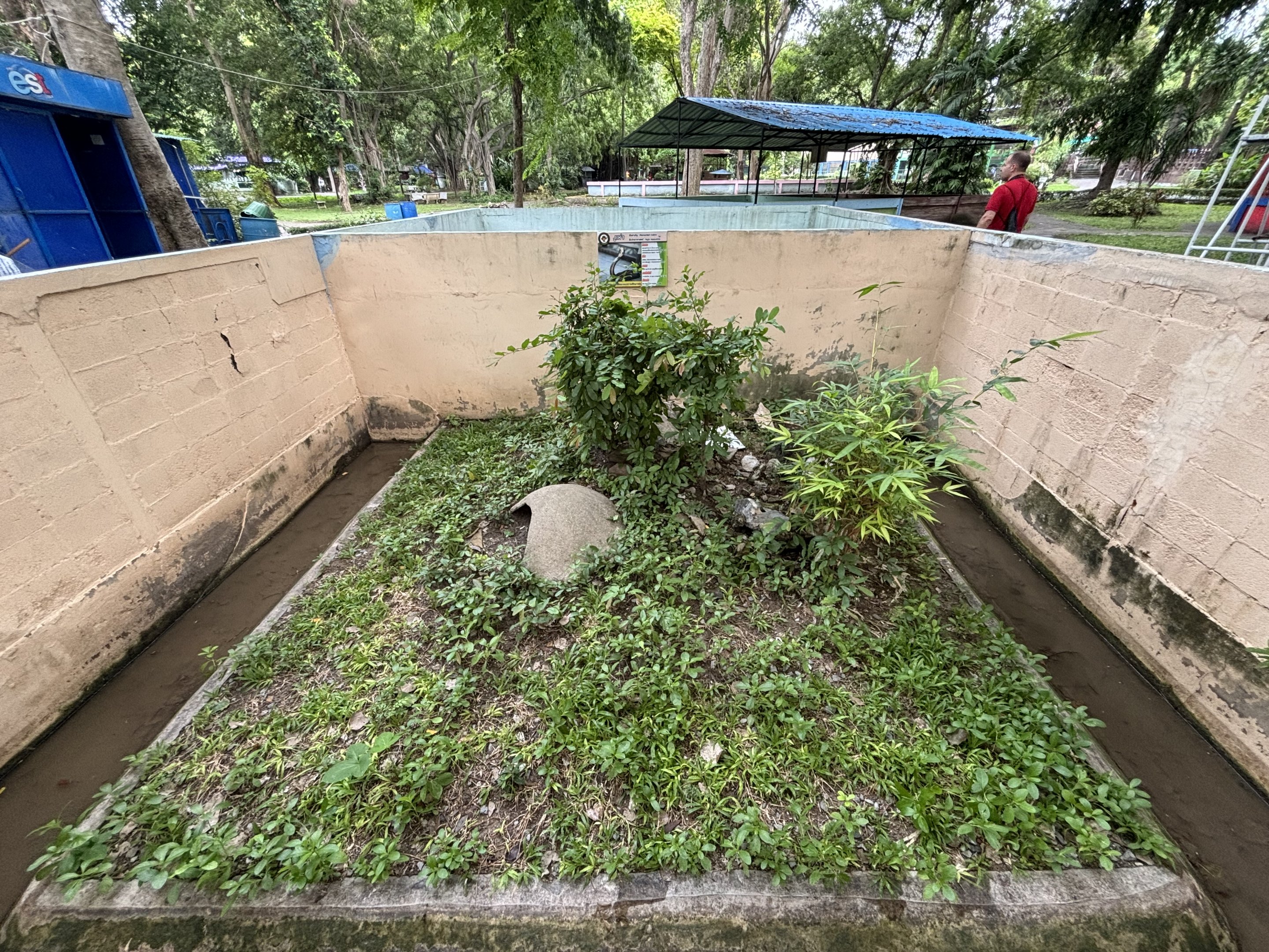Monocled Cobra Exhibit - Lopburi Zoo