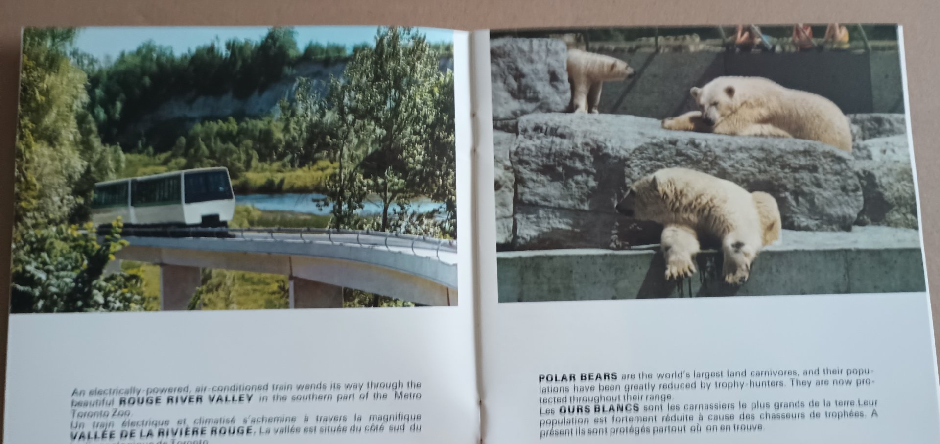 Monorail and Polar Bears