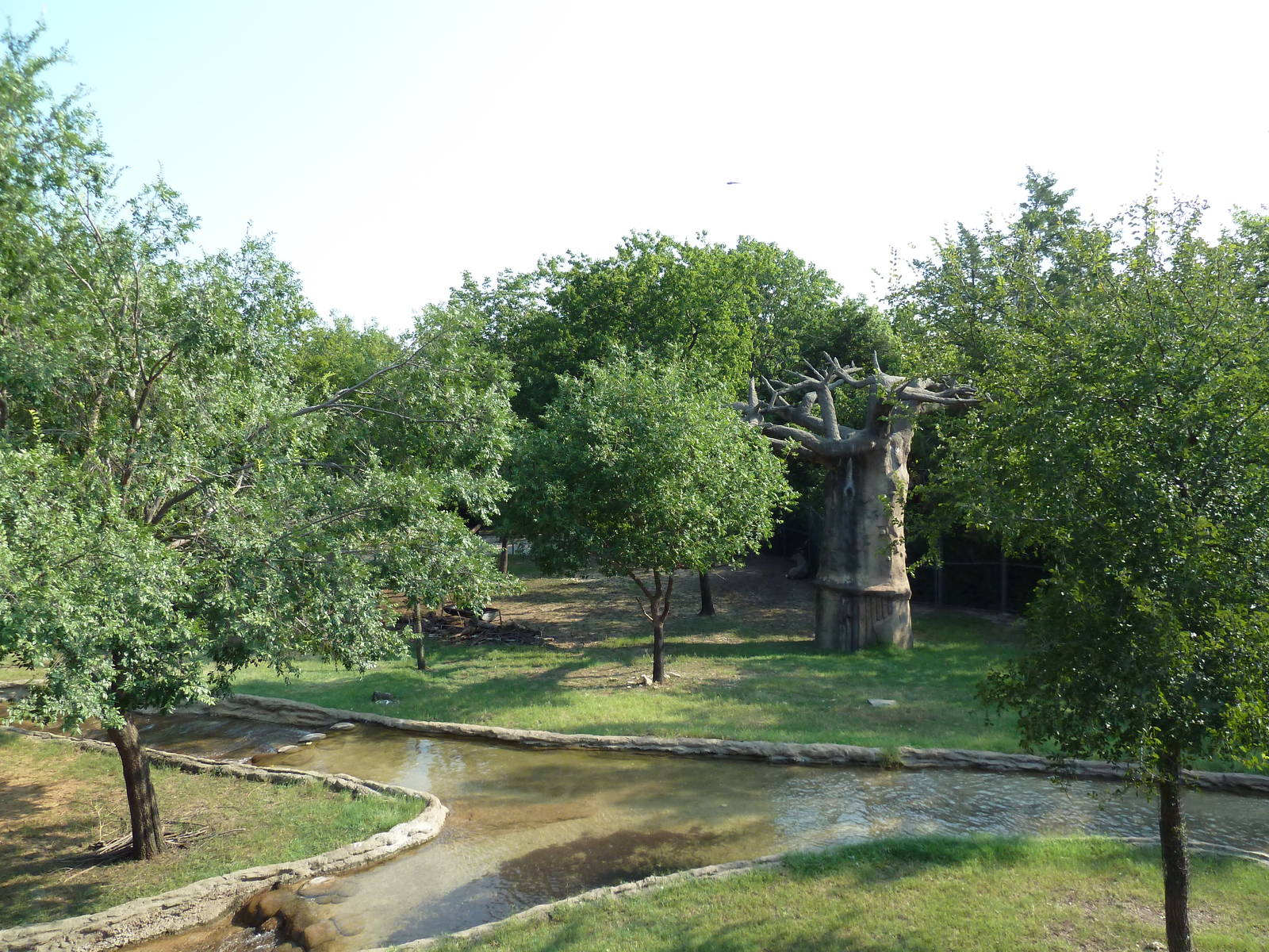 Monorail - Bush Habitat (Mixed-Species Exhibit)