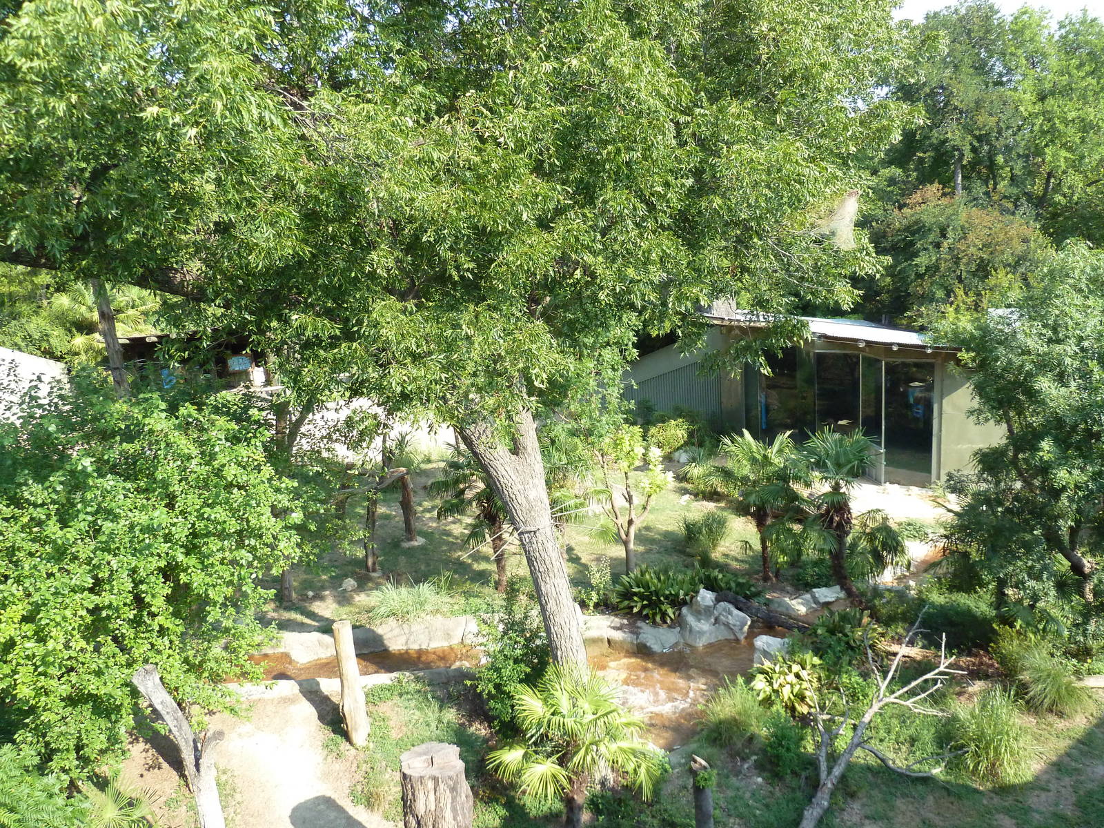 Monorail - Chimpanzee Exhibit