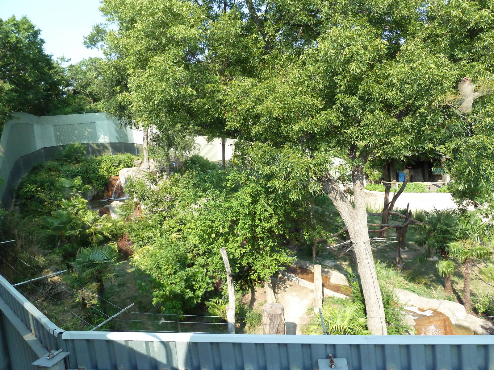 Monorail - Chimpanzee Exhibit
