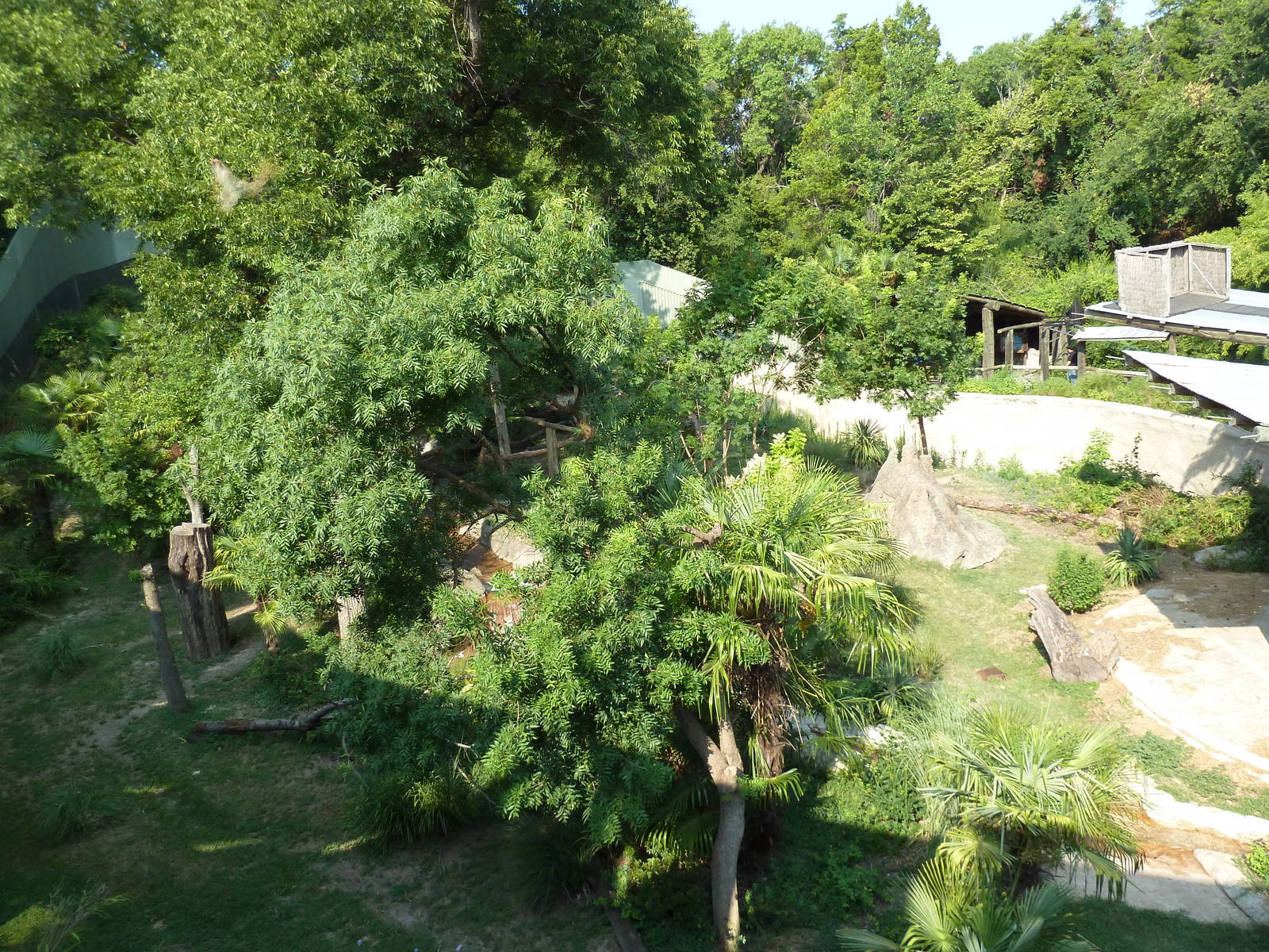 Monorail - Chimpanzee Exhibit
