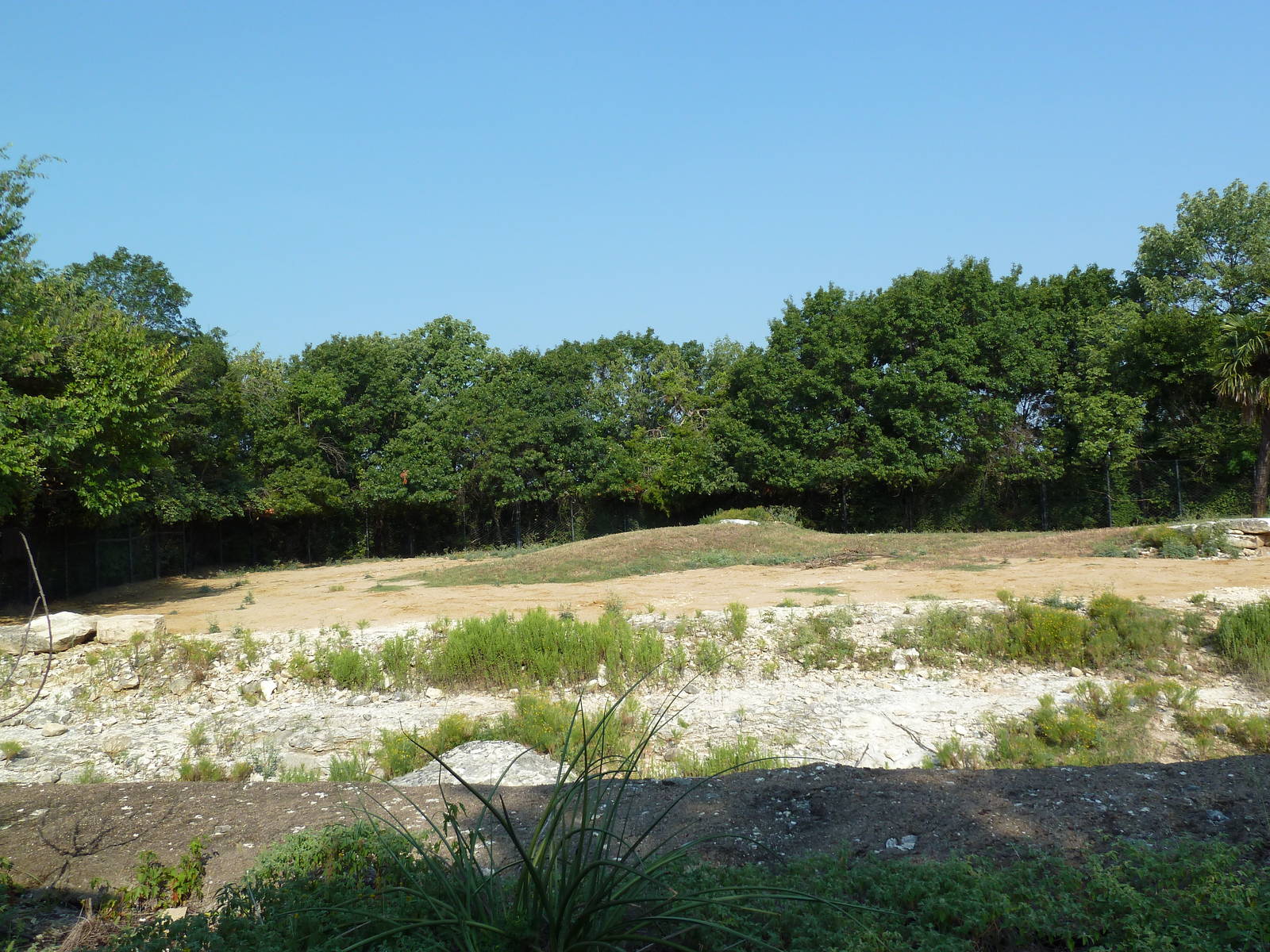 Monorail - Desert Habitat (Mixed-Species Exhibit)