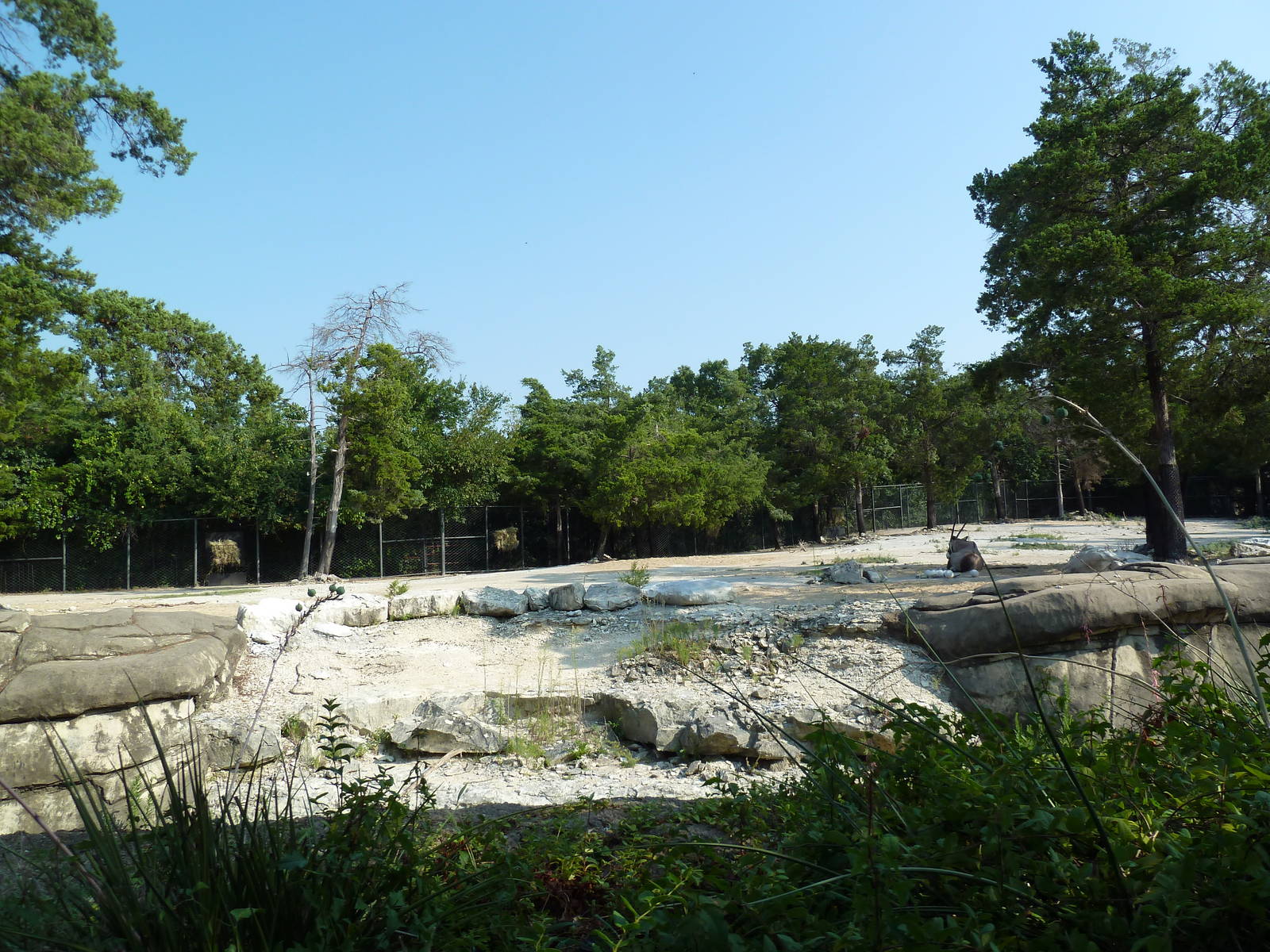 Monorail - Desert Habitat (Mixed-Species Exhibit)