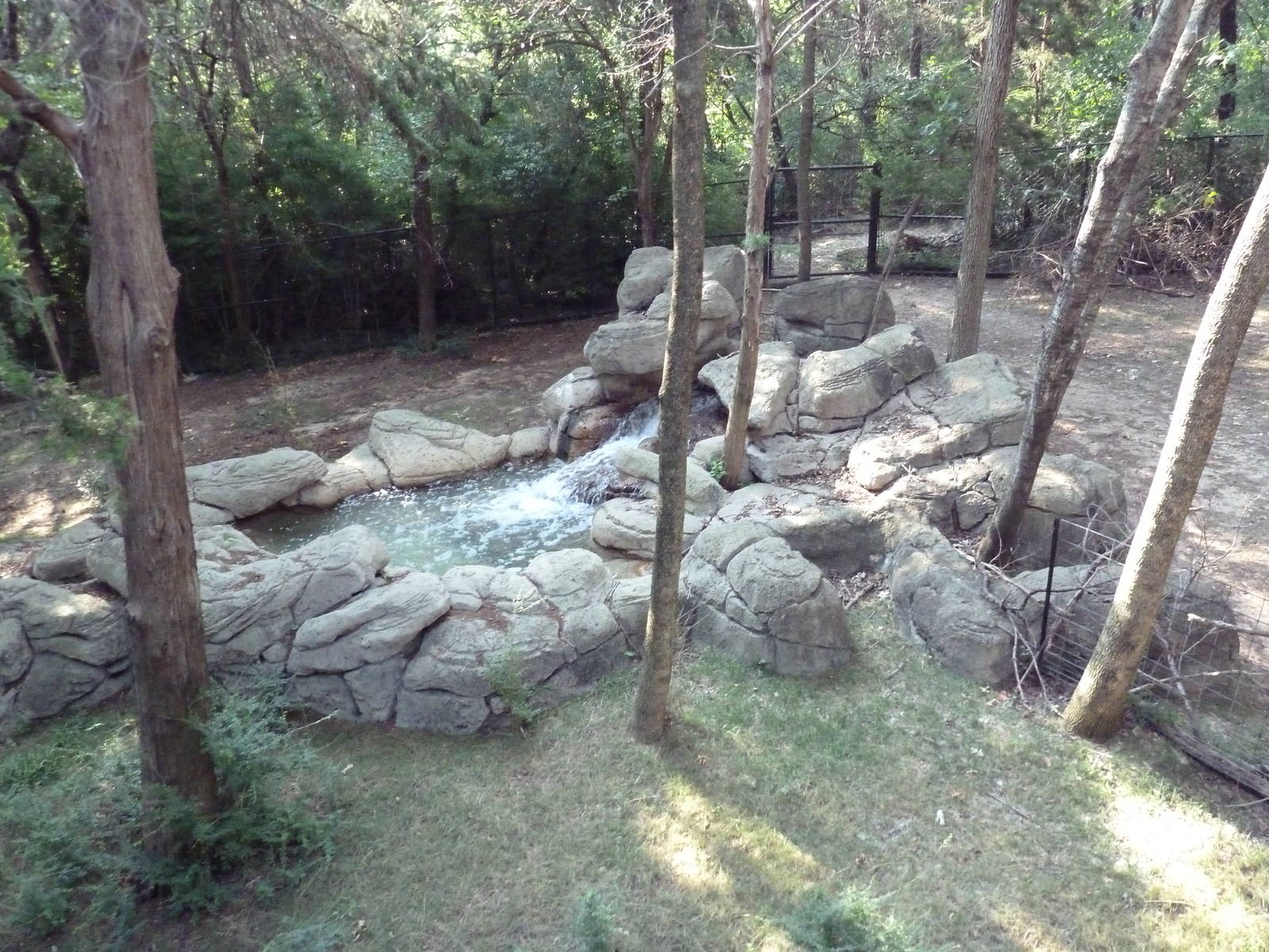 Monorail - Forest Habitat (Okapi)