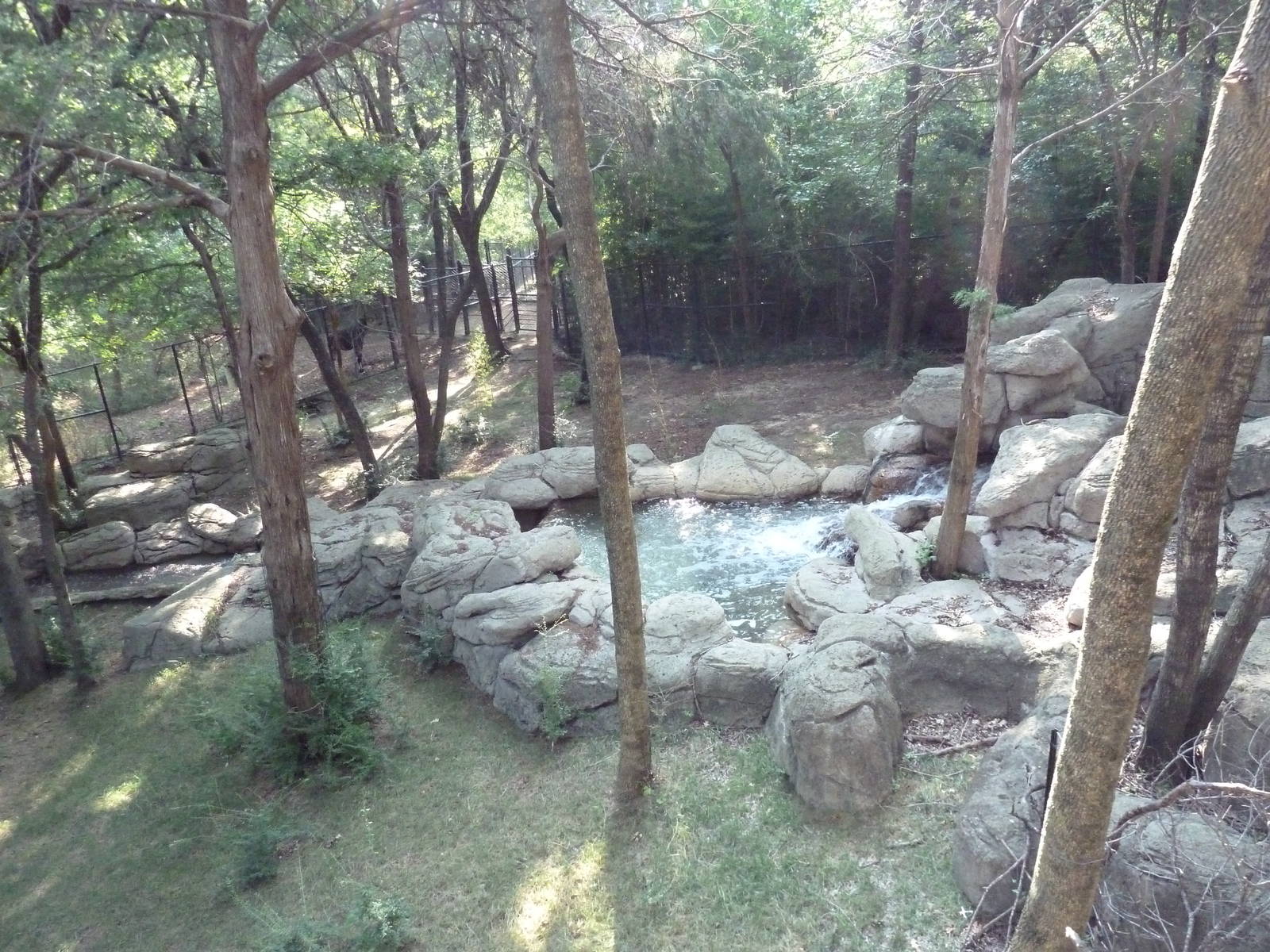 Monorail - Forest Habitat (Okapi)