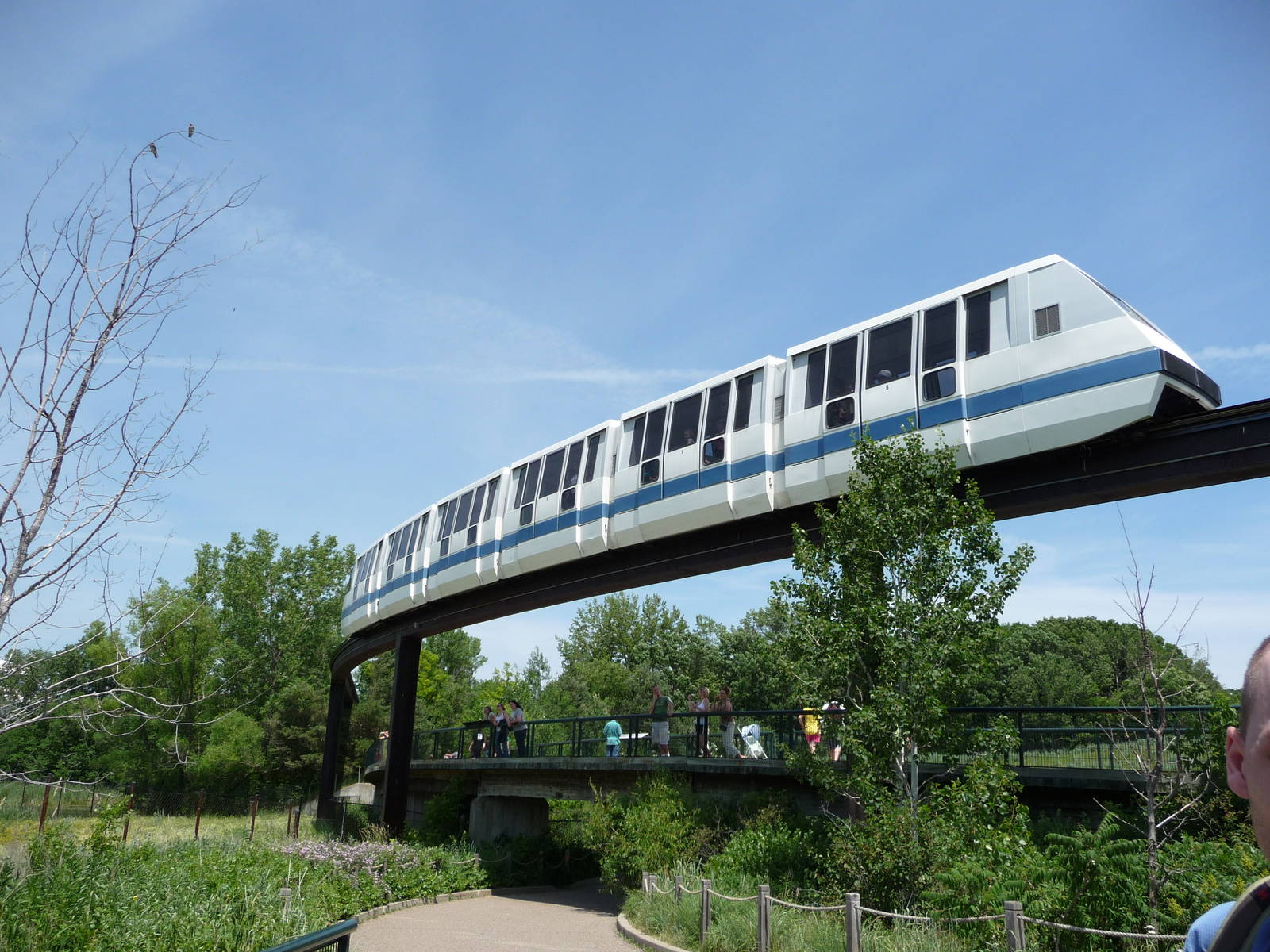Monorail - Minnesota Zoo