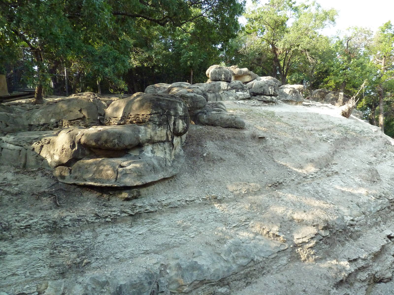 Monorail - Mountain Habitat (Nubian Ibex)