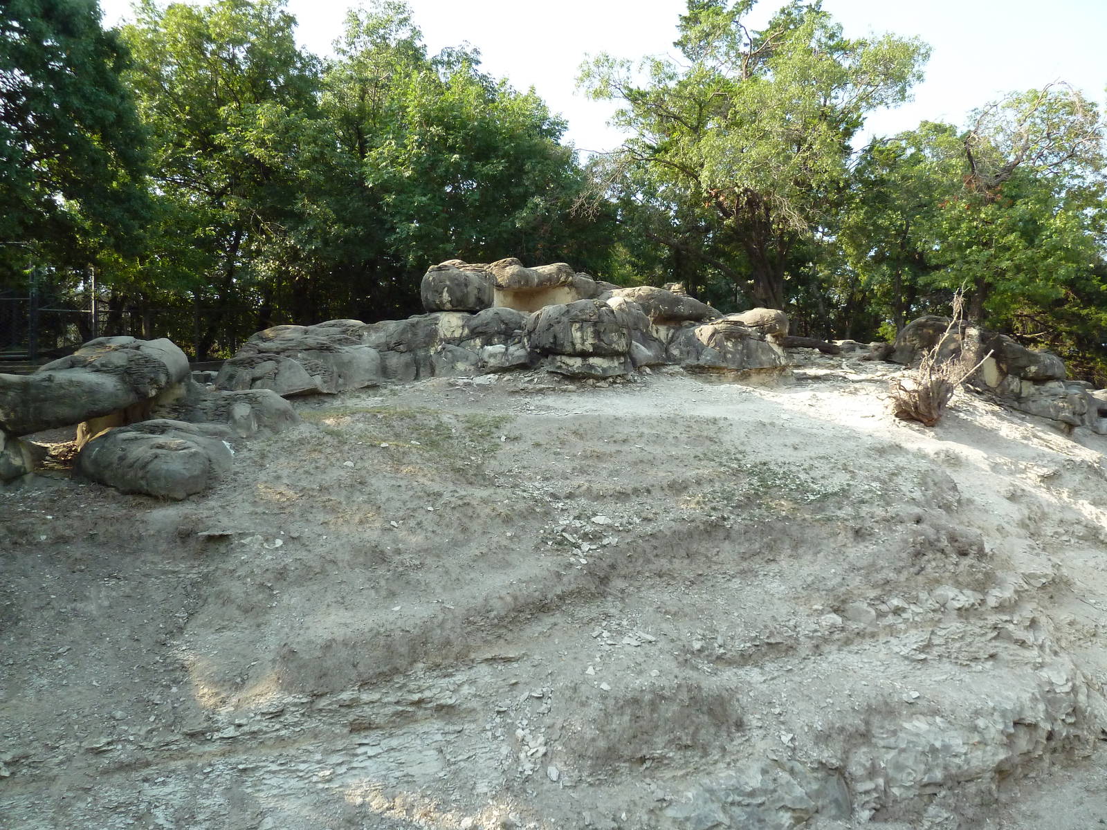 Monorail - Mountain Habitat (Nubian Ibex)