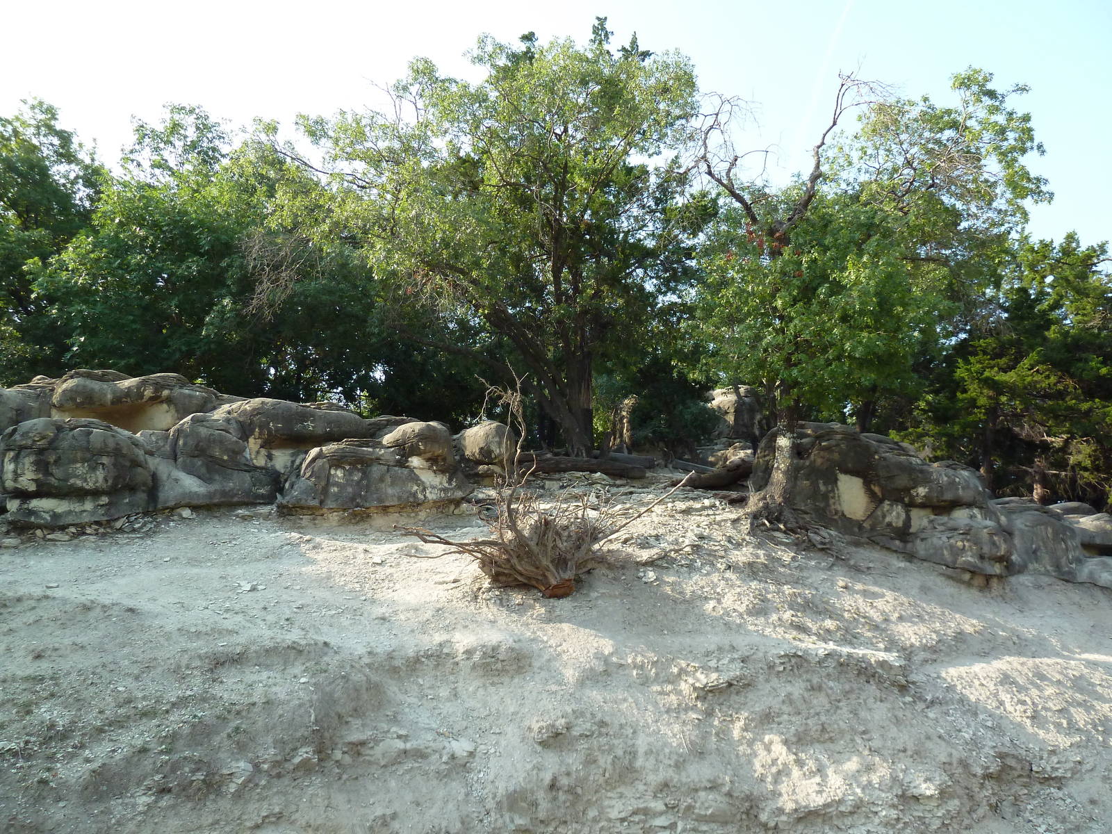 Monorail - Mountain Habitat (Nubian Ibex)