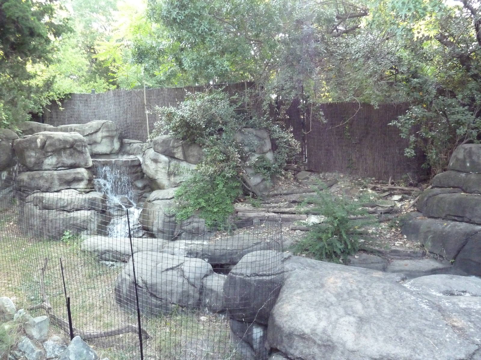 Monorail - Predator/Prey Habitat (Red-Flanked Duiker)