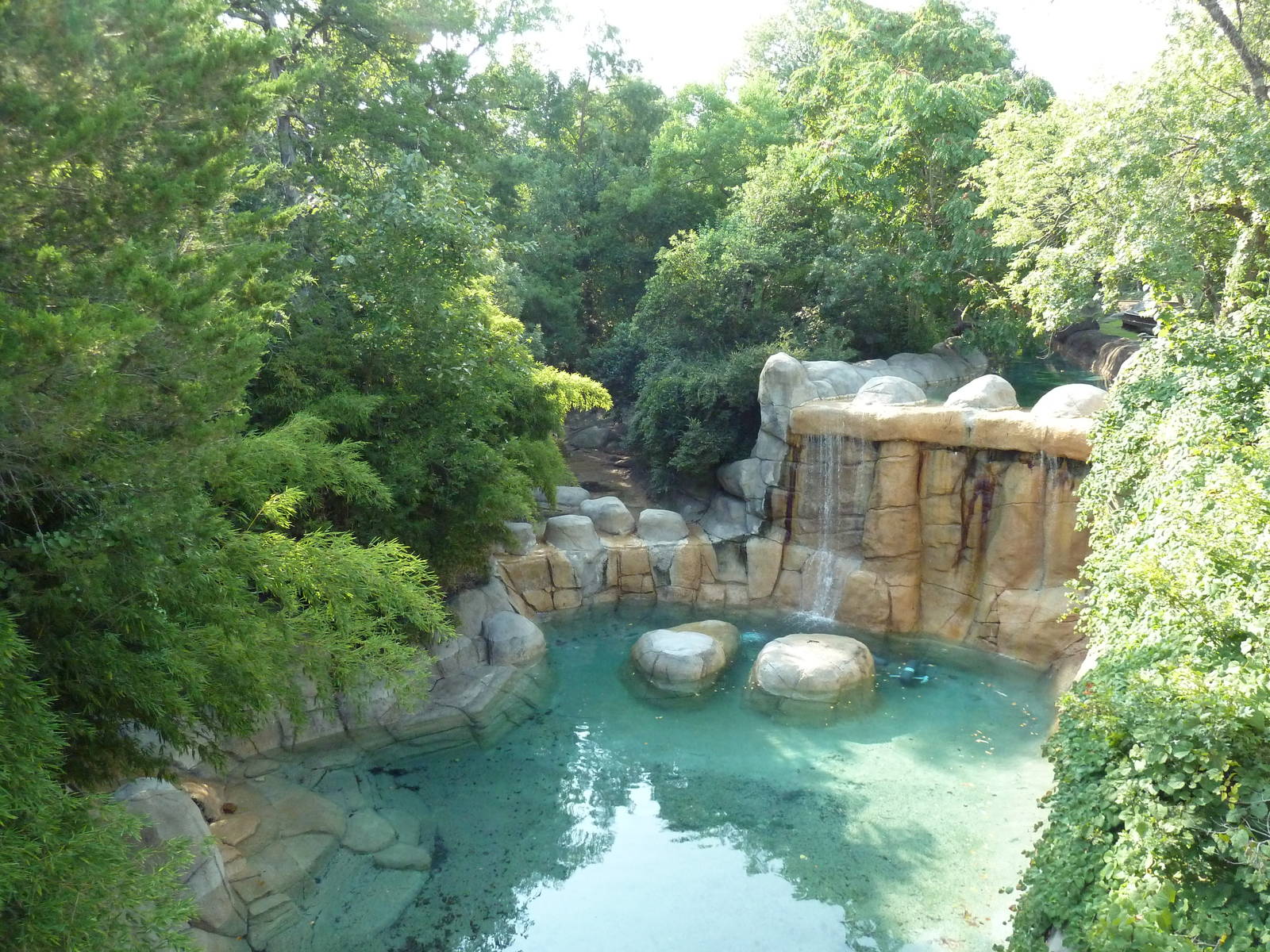 Monorail - River Habitat (Waterfowl)