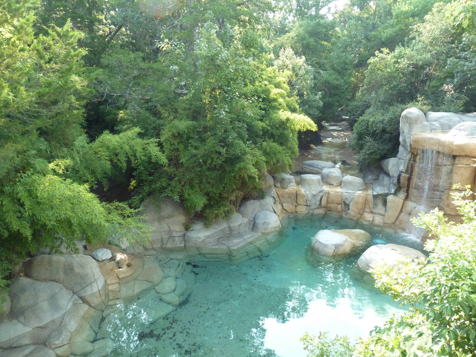 Monorail - River Habitat (Waterfowl)