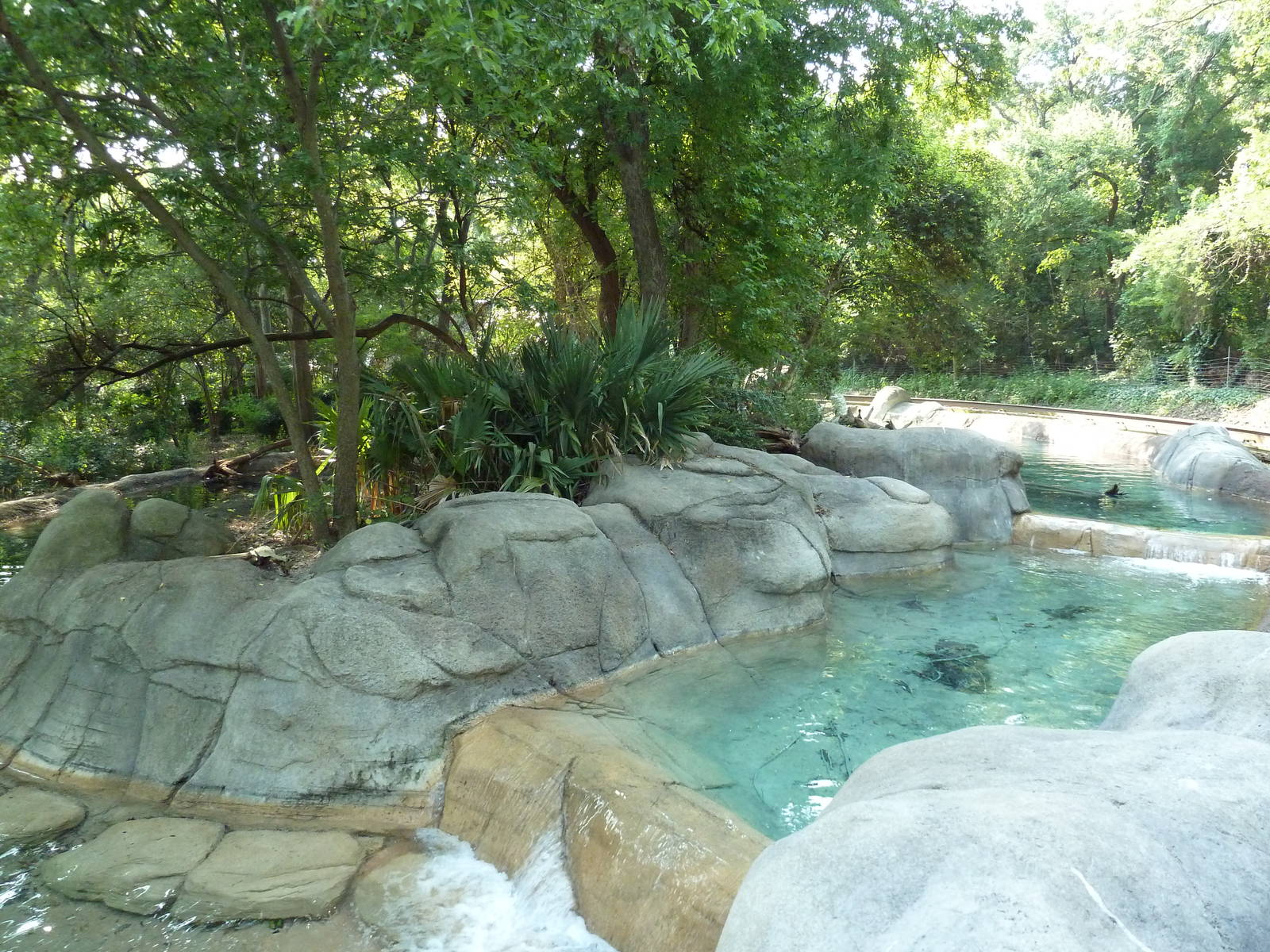 Monorail - River Habitat (Waterfowl)