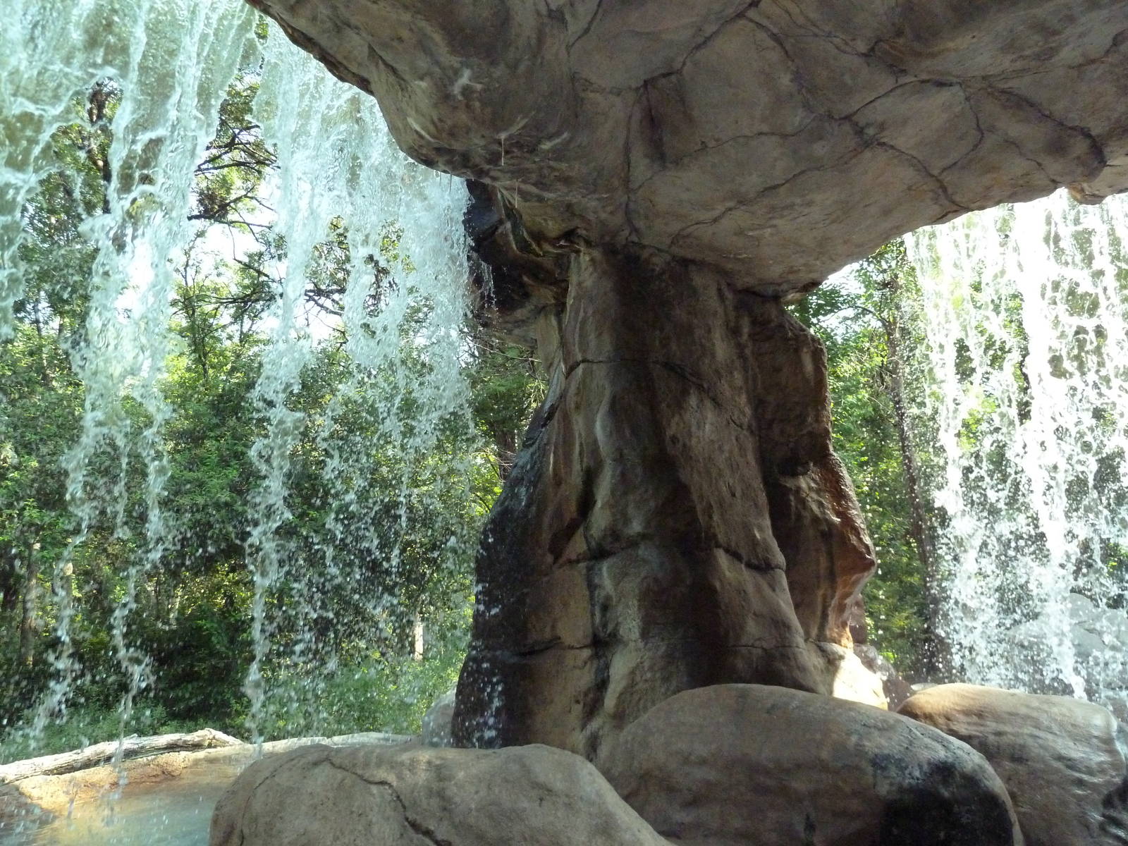 Monorail - River Habitat (Waterfowl)