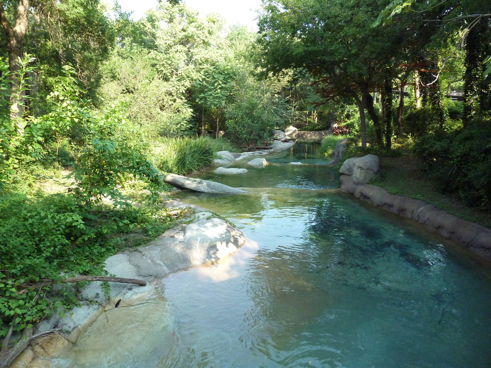 Monorail - River Habitat (Waterfowl)