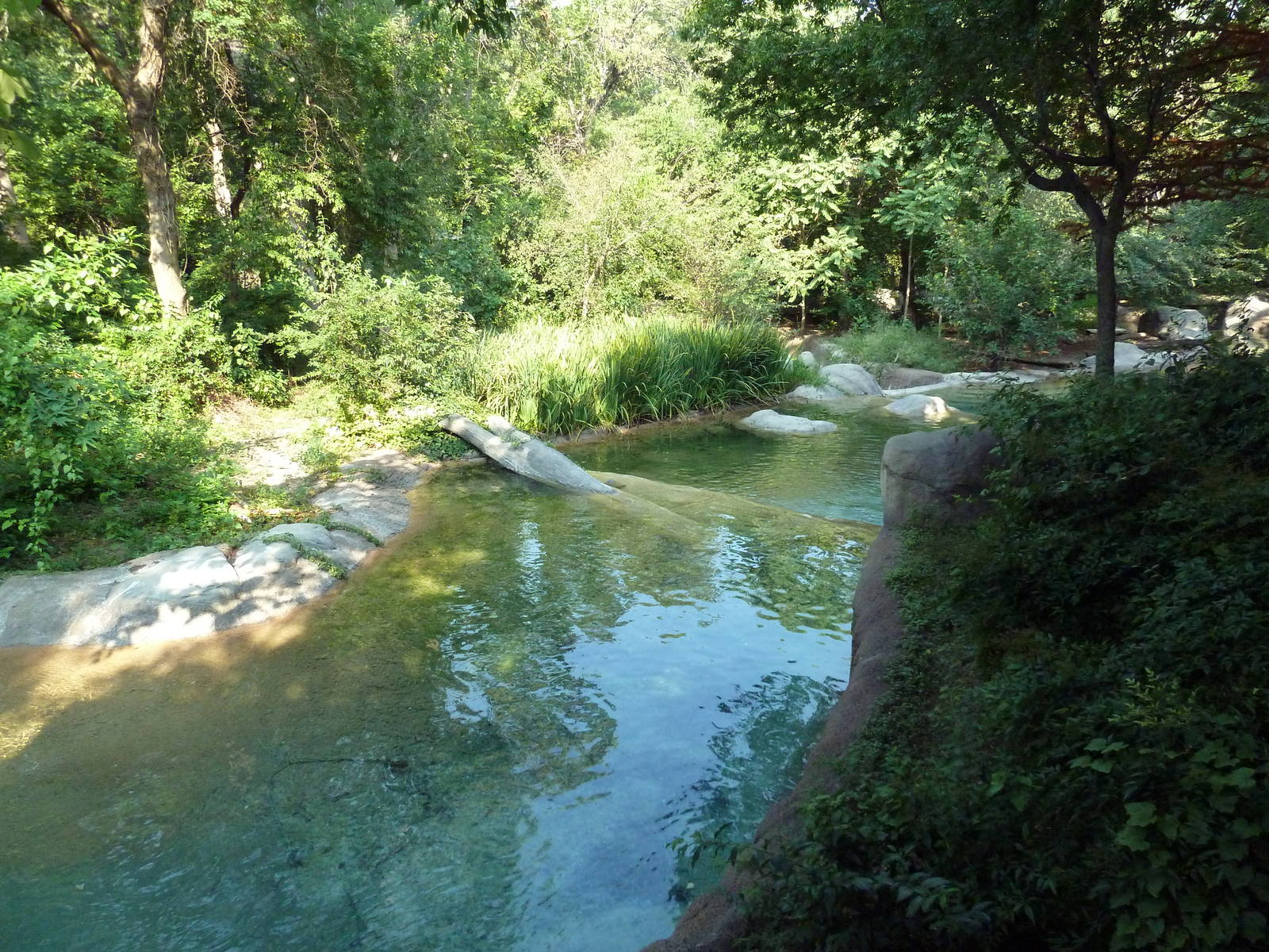 Monorail - River Habitat (Waterfowl)