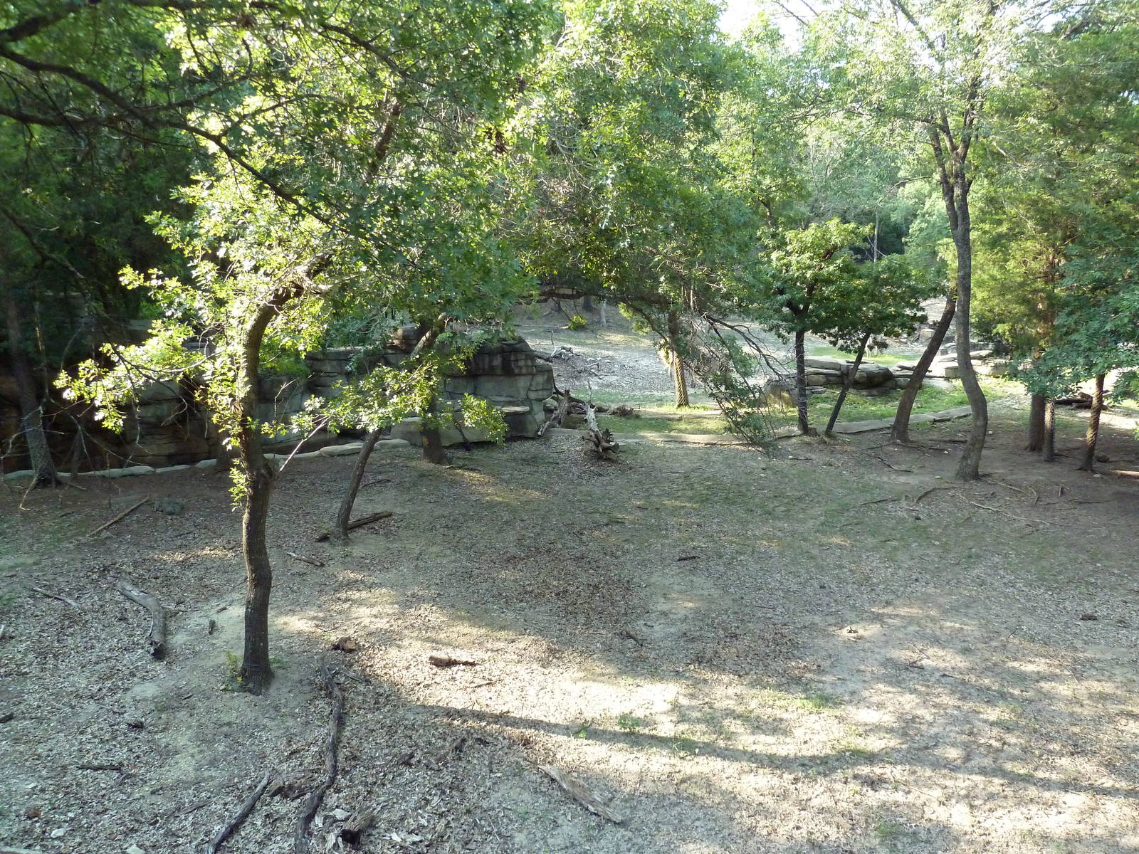 Monorail - Woodland Habitat (Grevy's Zebra)