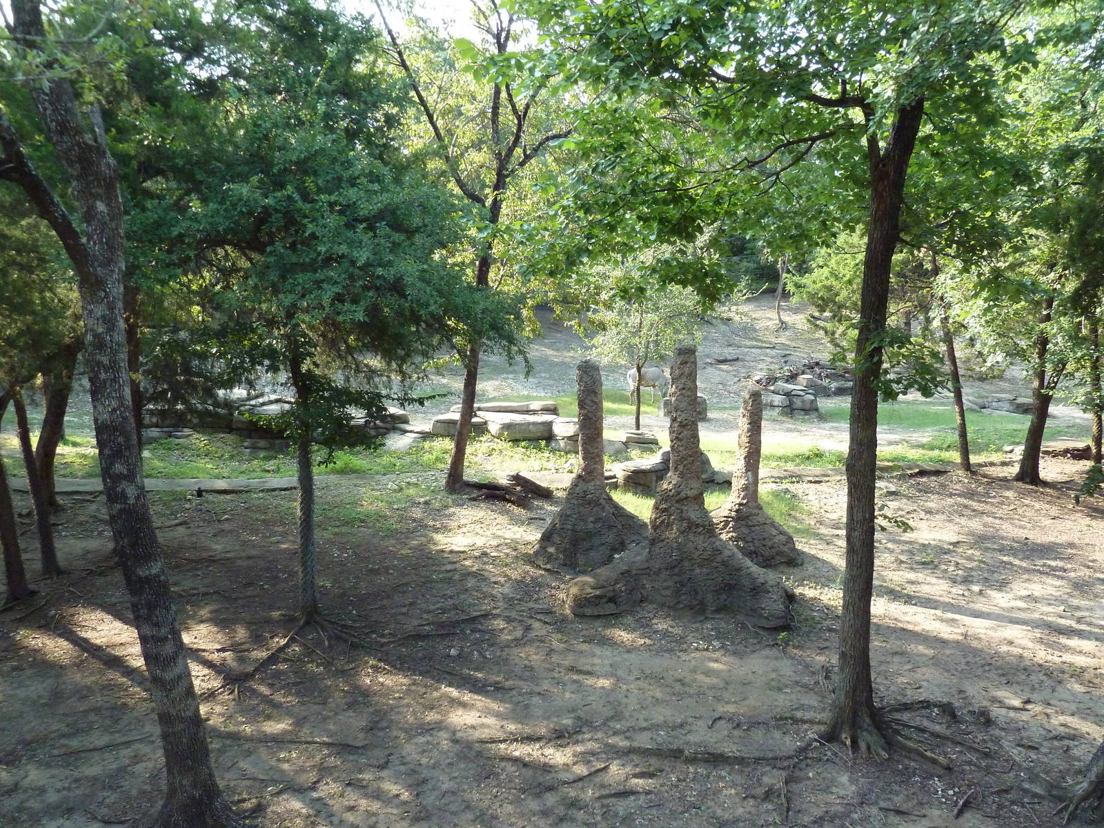 Monorail - Woodland Habitat (Grevy's Zebra)