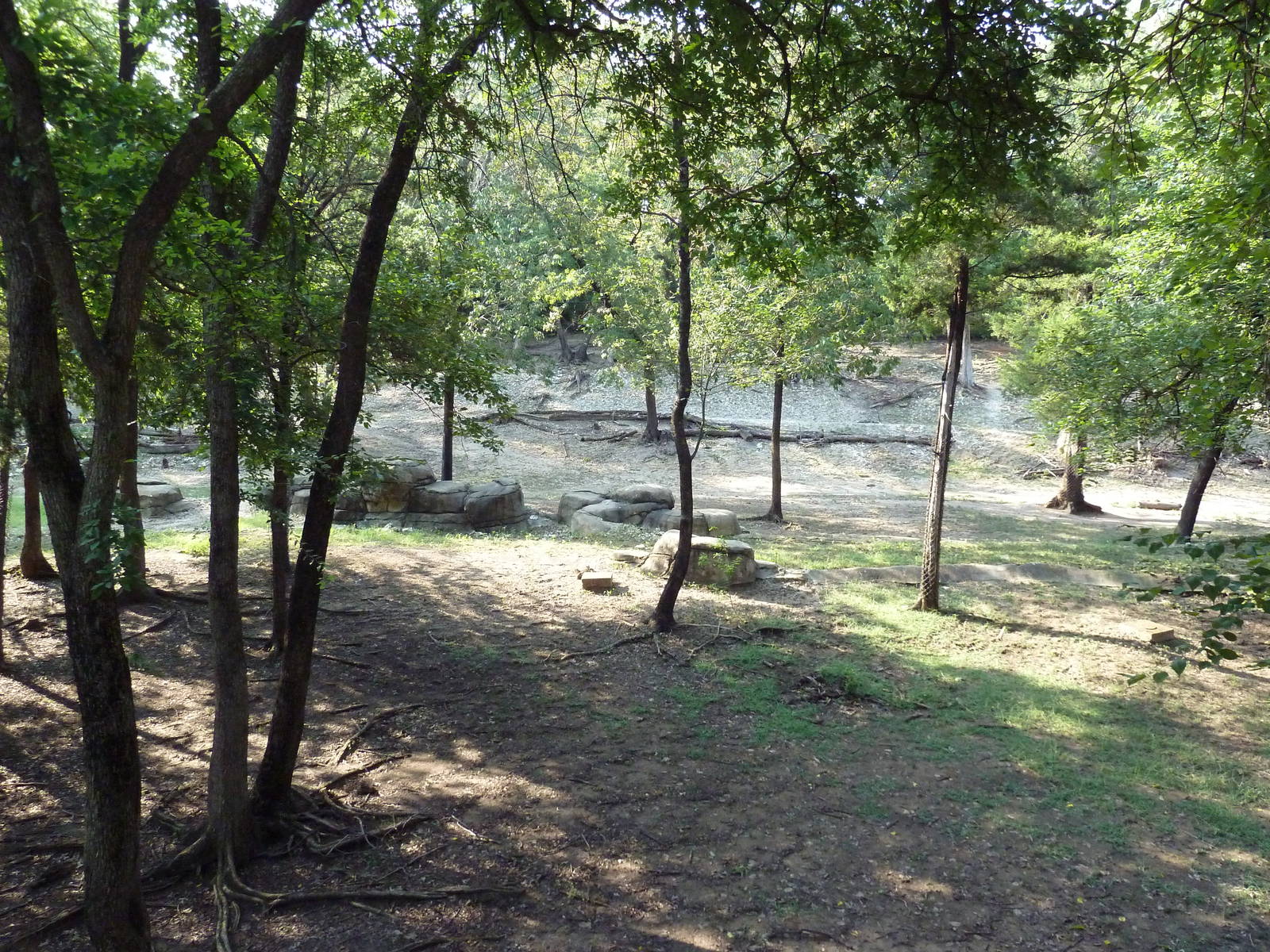 Monorail - Woodland Habitat (Grevy's Zebra)