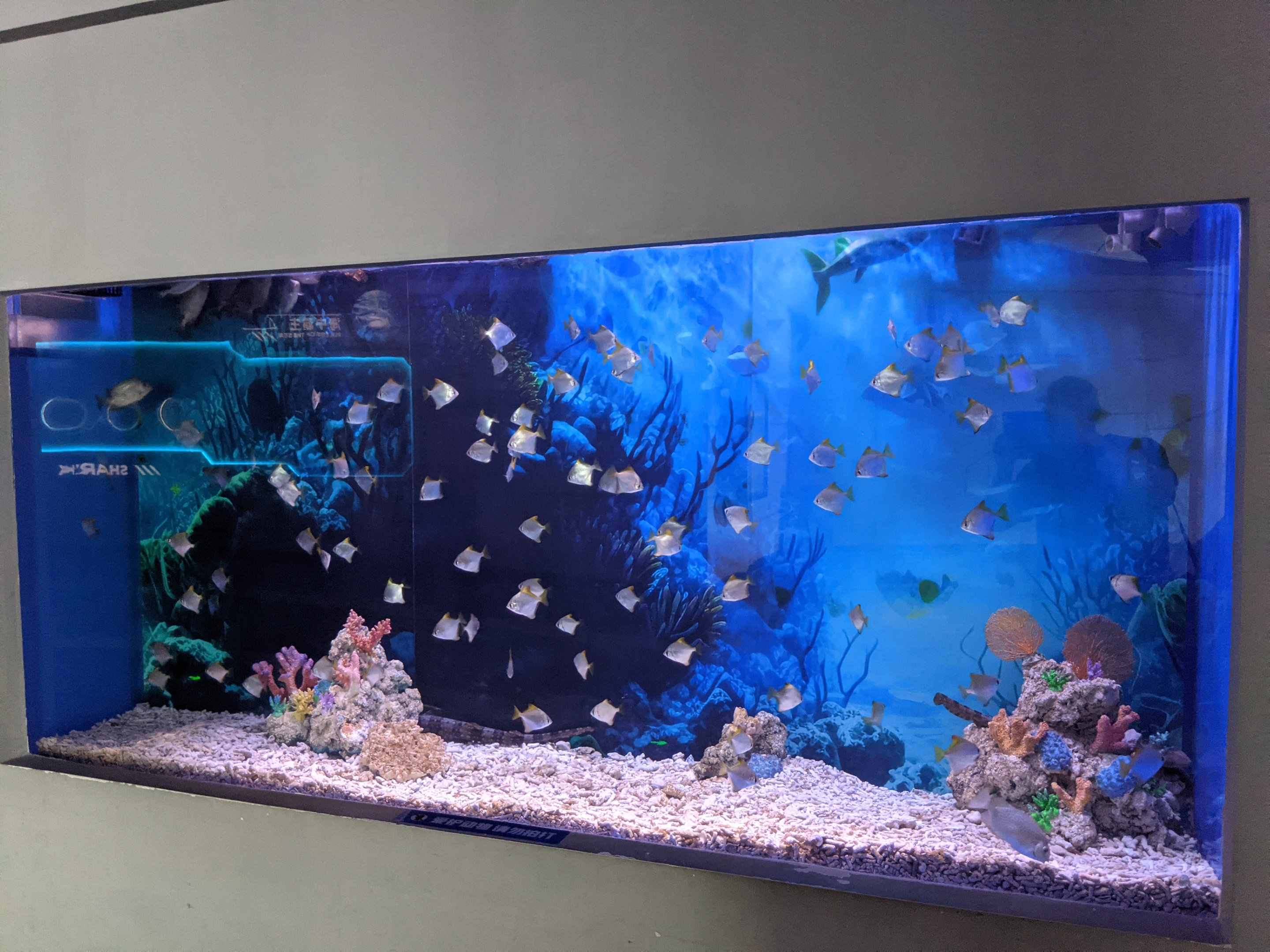 Monos - Ocean World (Guangzhou)