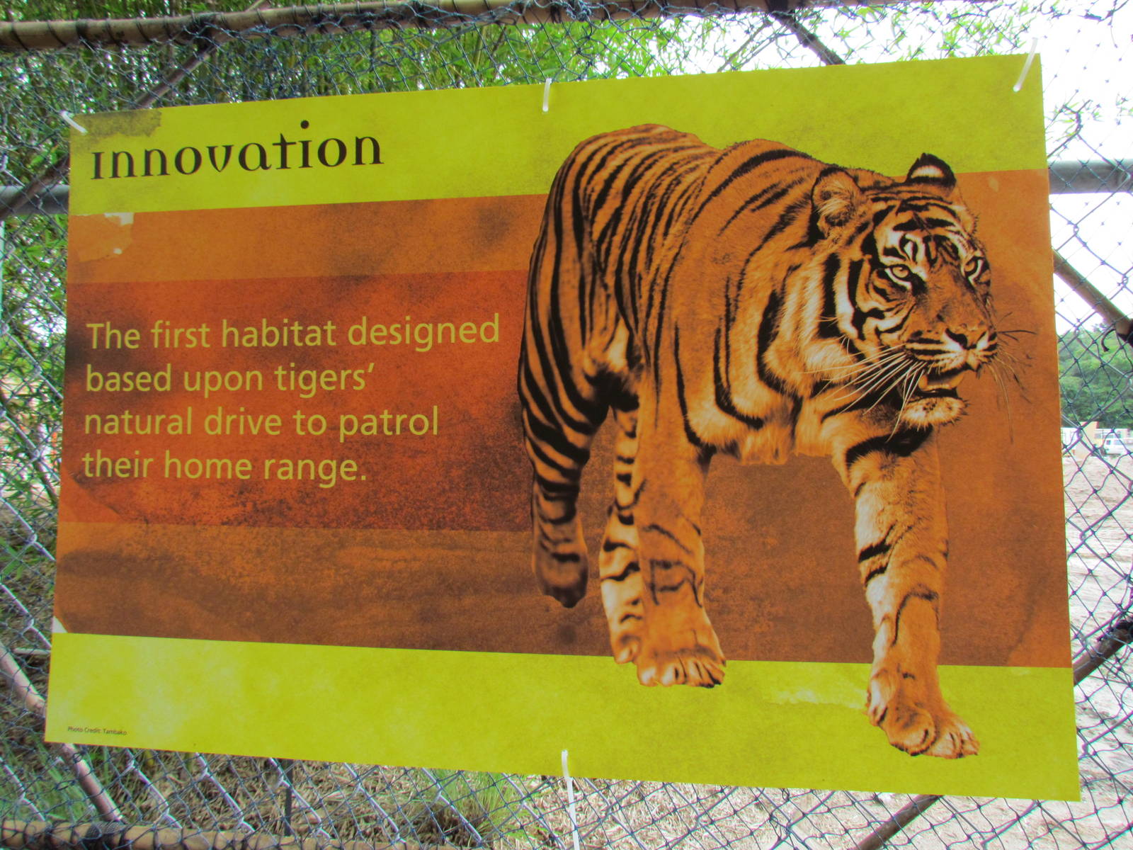 Monsoon Asia - Innovation