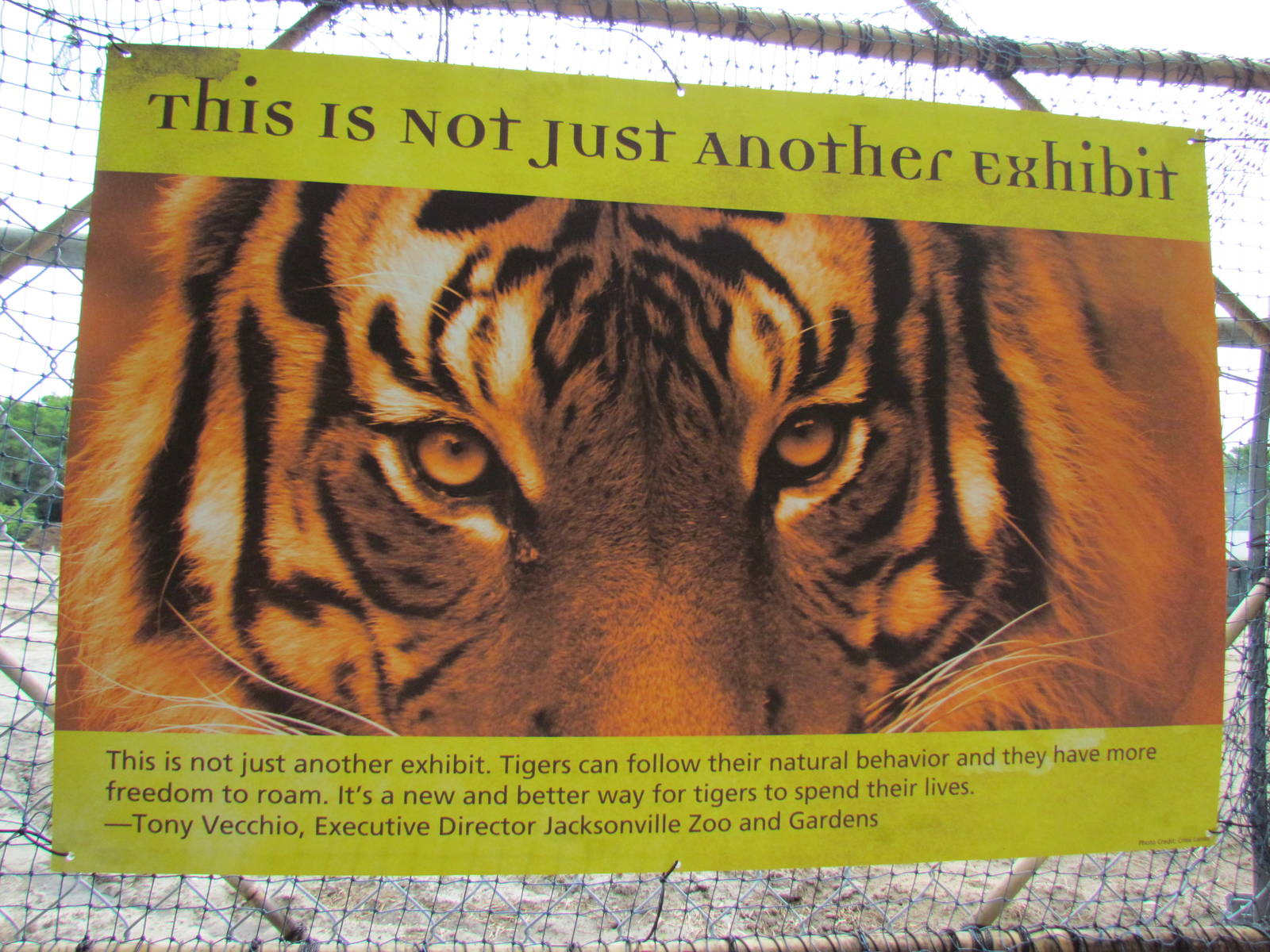 Monsoon Asia - Not Just Any Tiger Exhibit