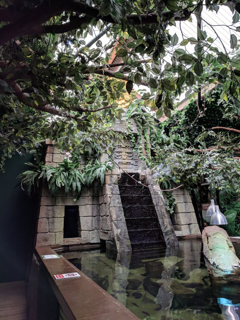Monsoon Falls Exhibit