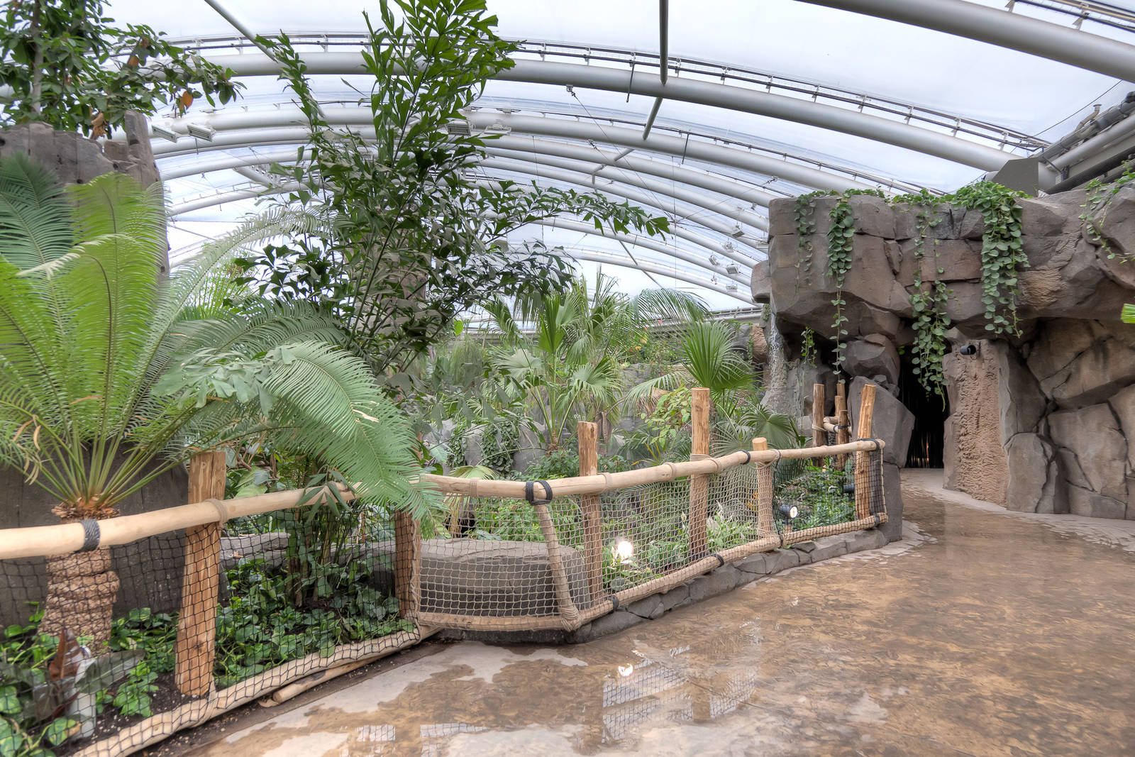 Monsoon Forest - 22/08/2015